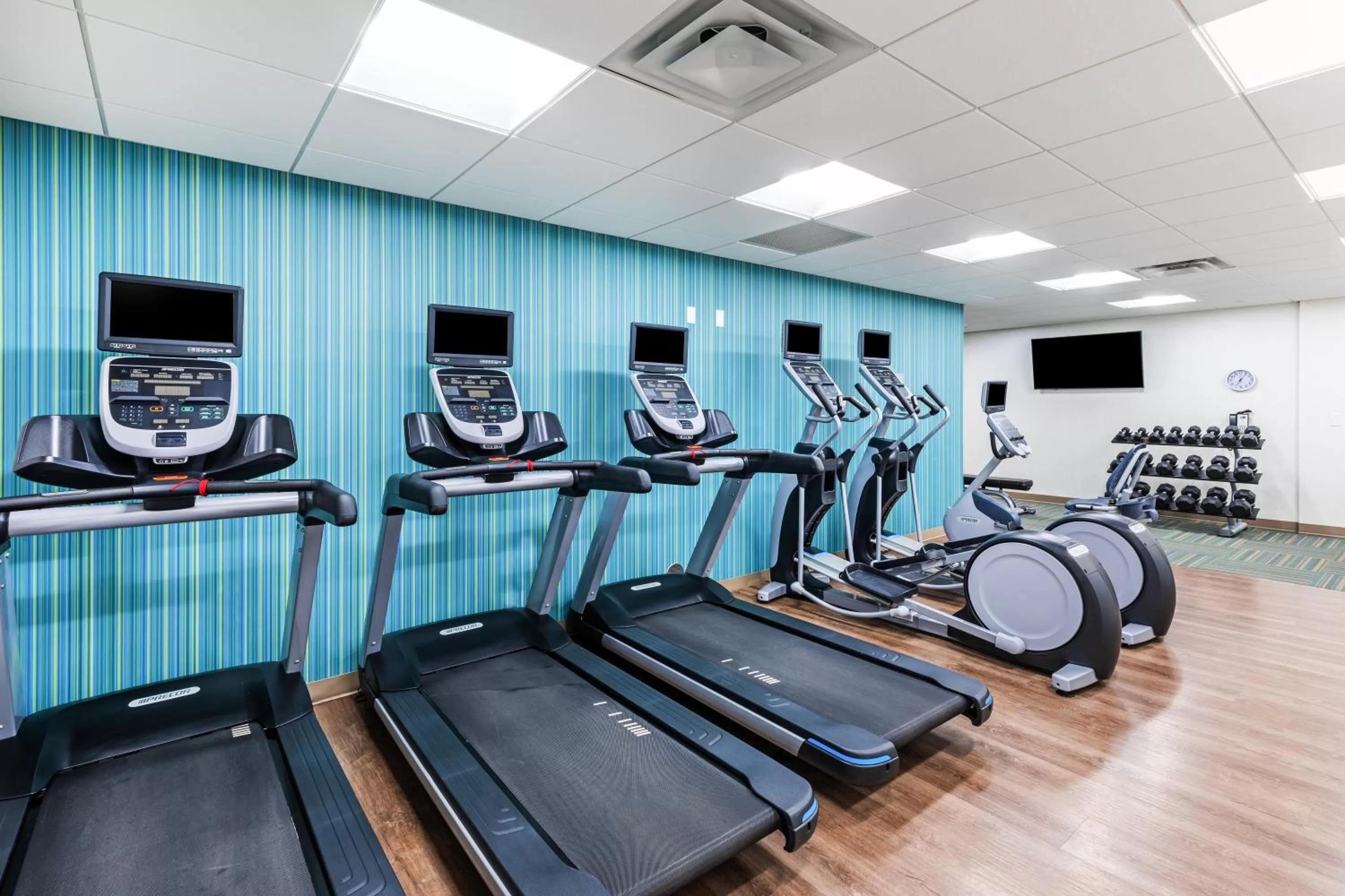 Fitness centre/facilities in Holiday Inn Express & Suites Ozona by IHG
