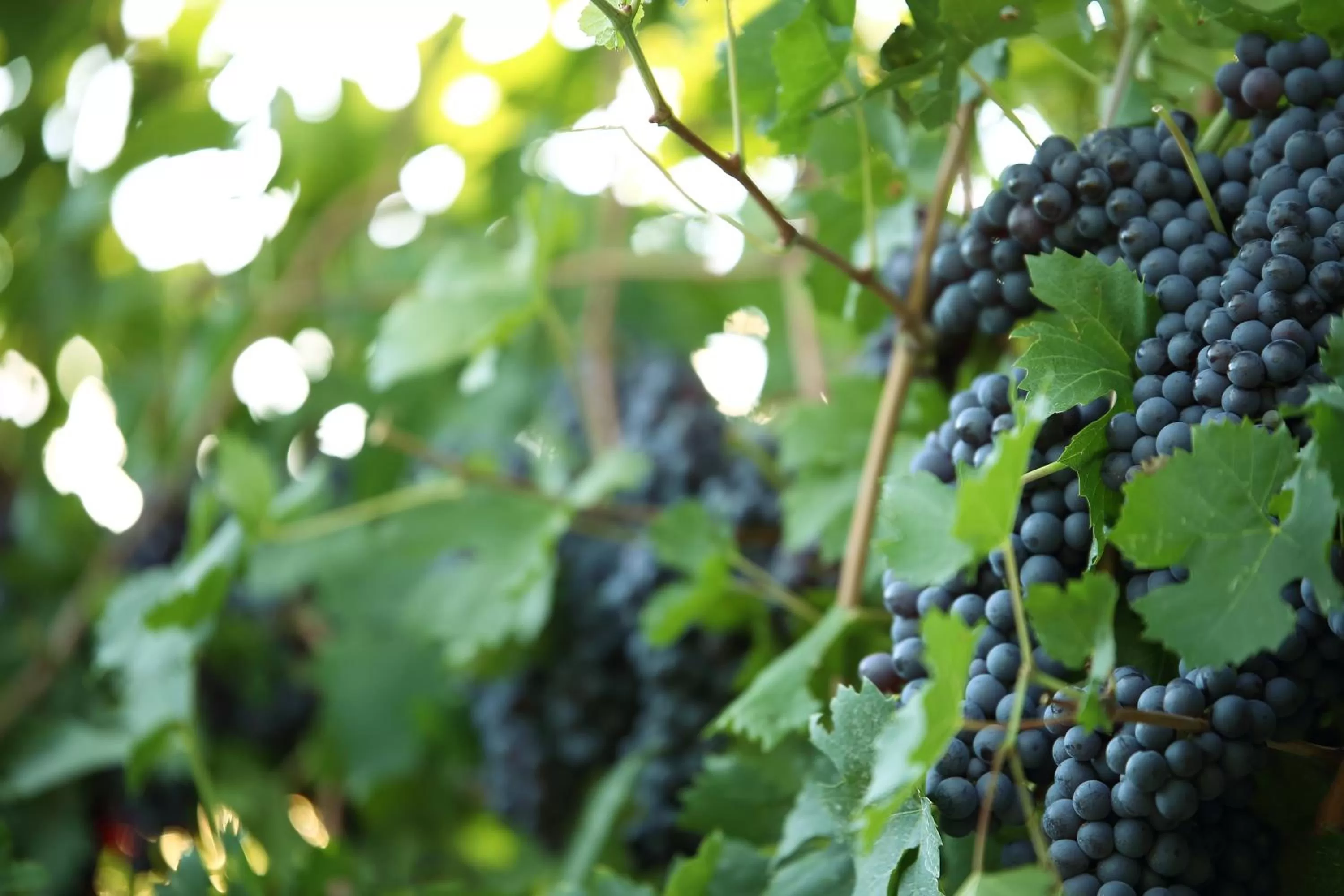 Nearby landmark in Hotel Villa Moron