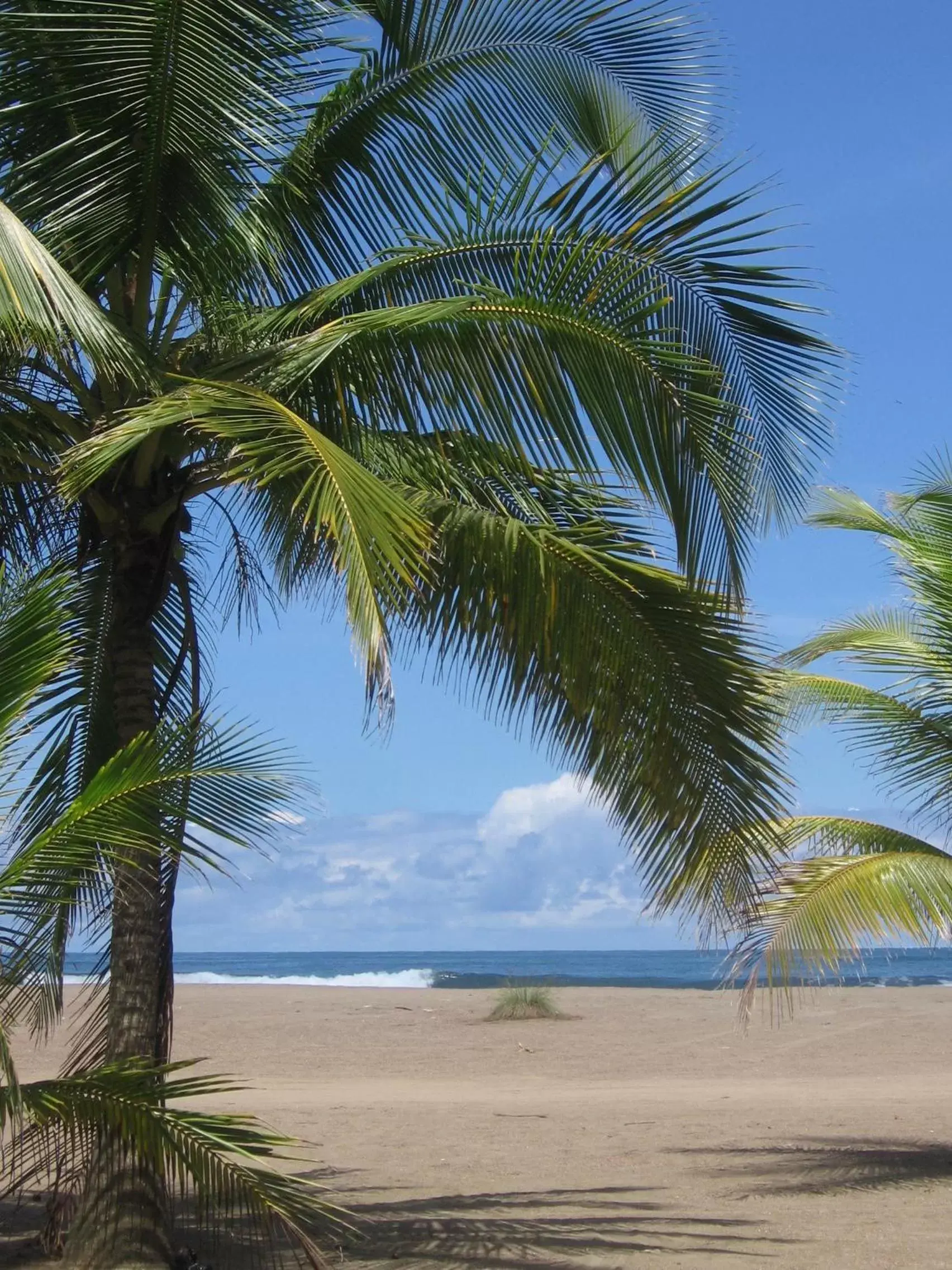 Off site, Beach in Hotel Pochote Grande