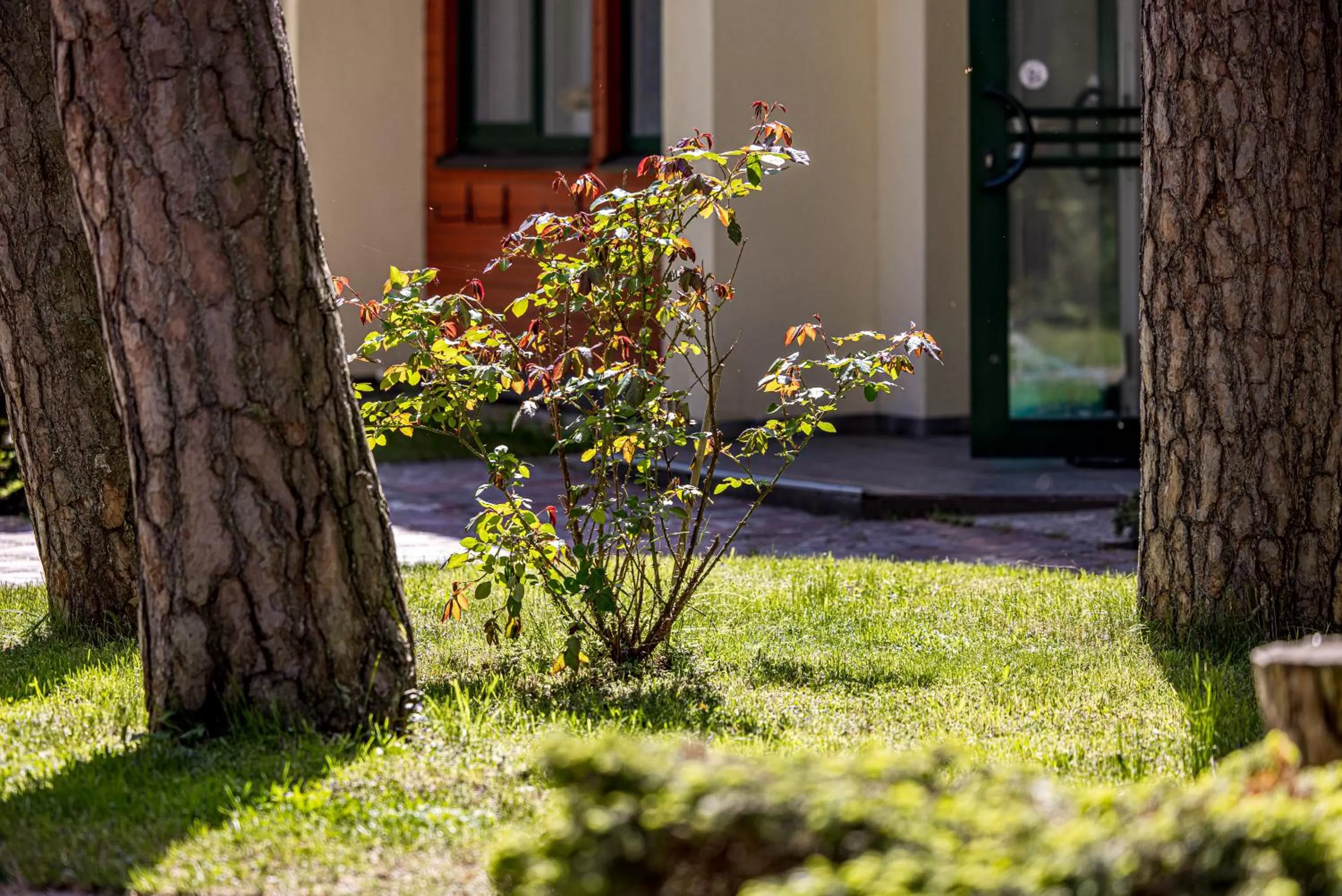 Patio in Palanga Park Hotel
