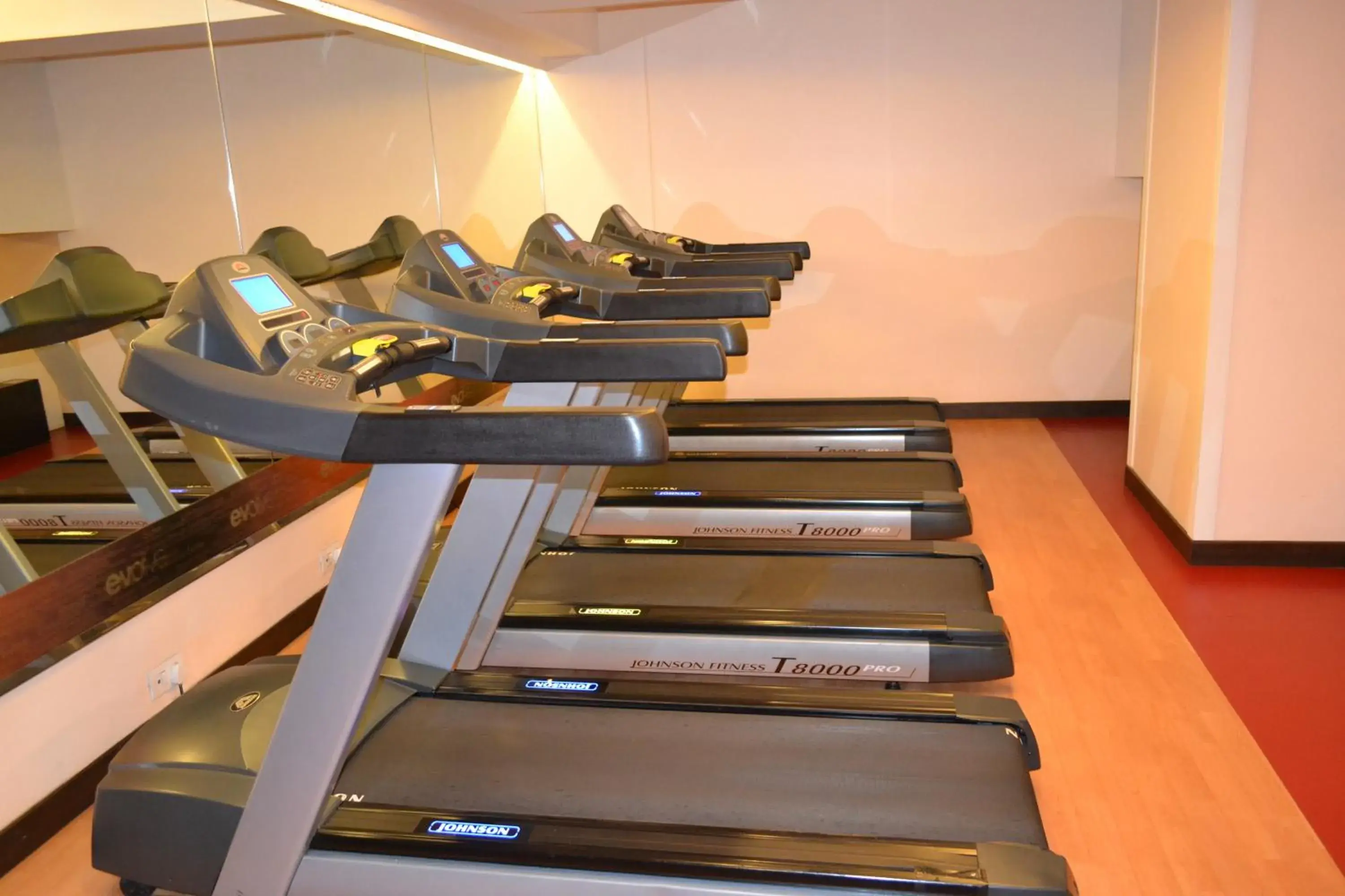 Fitness centre/facilities, Fitness Center/Facilities in Sayaji