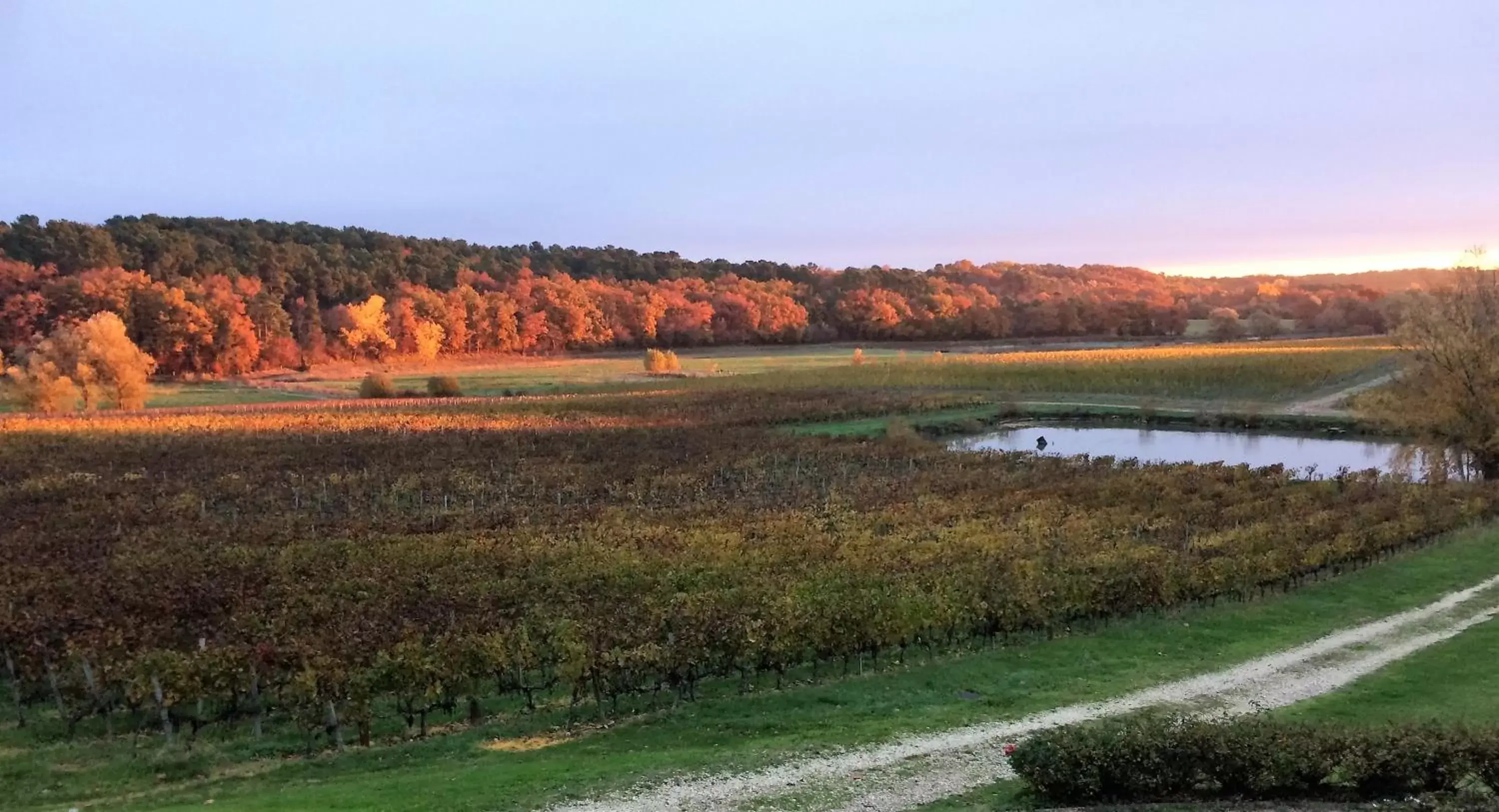 View (from property/room) in Les Secrets Château Pey La Tour - Groupe LOGIS HOTELS