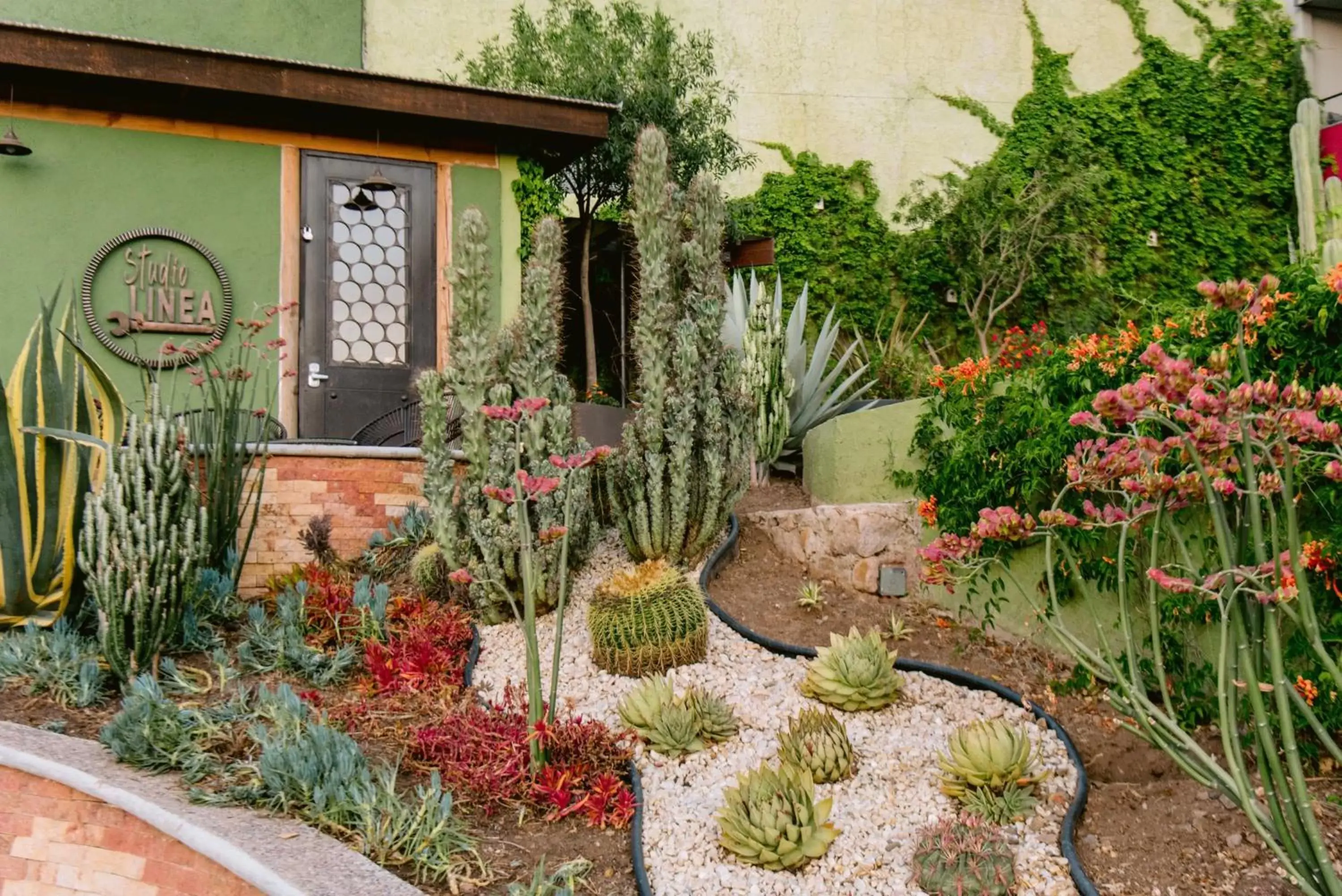 Day, Garden in Terra Vista