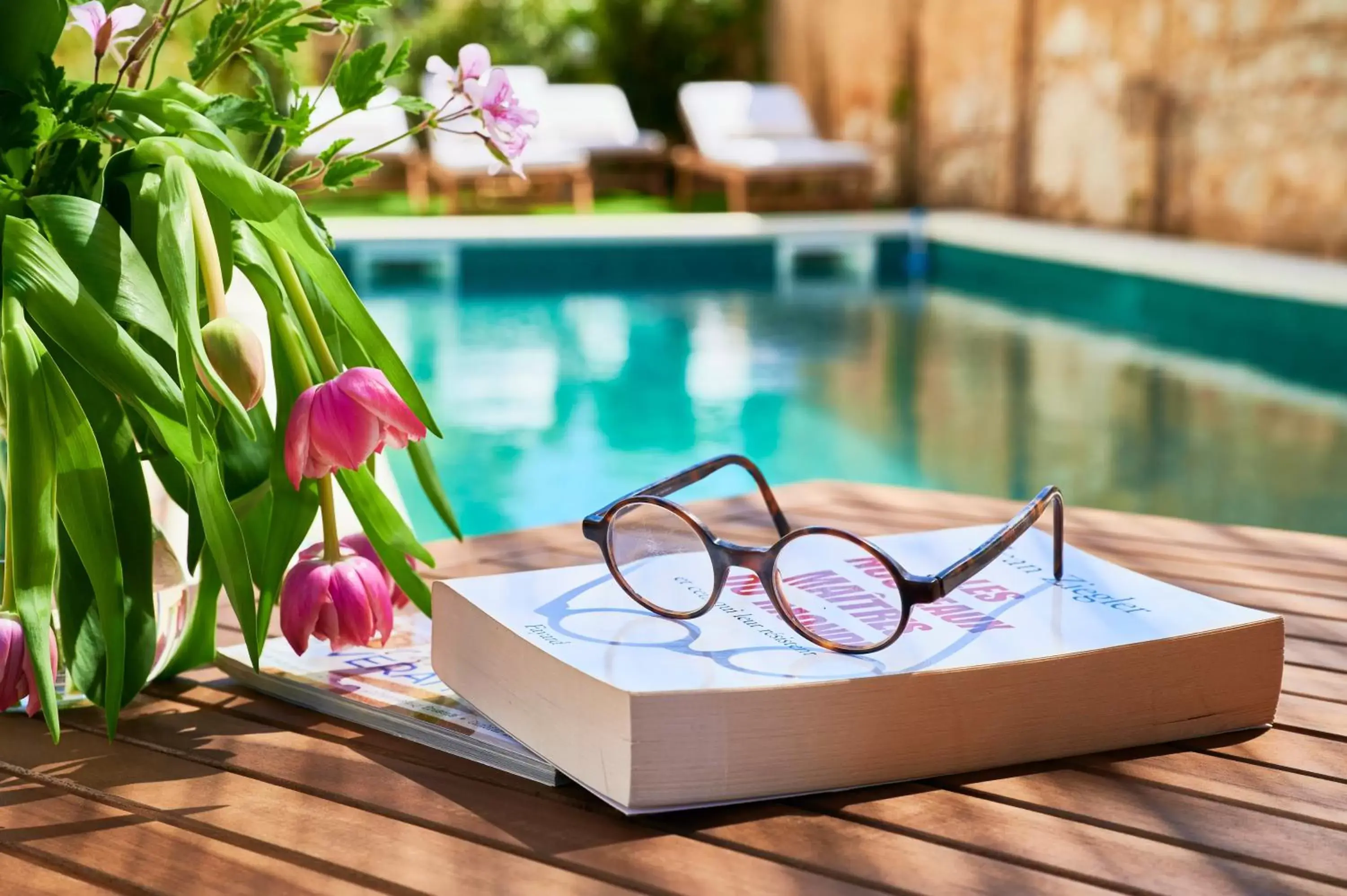 Swimming Pool in Vila Branca Guesthouse - Palacete