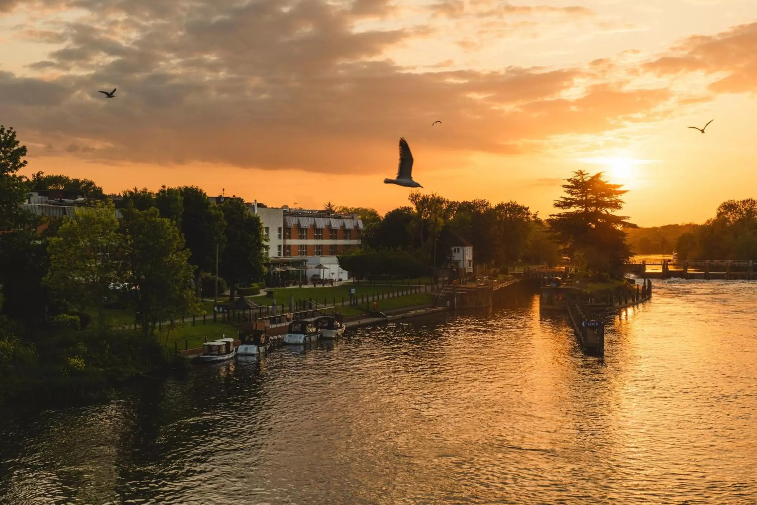 Property building, Sunrise/Sunset in The Runnymede on Thames