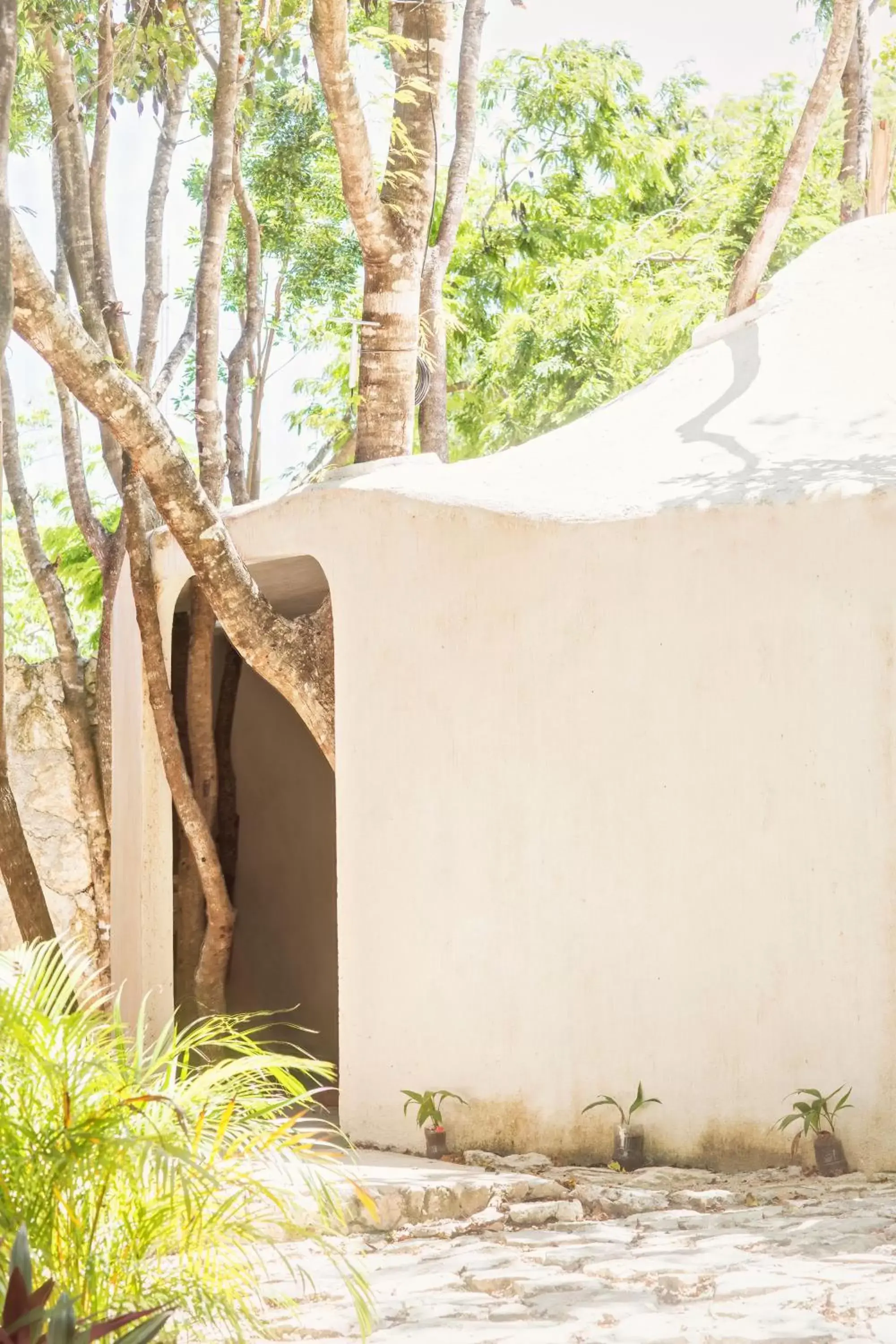 Patio in Botånica Tulum