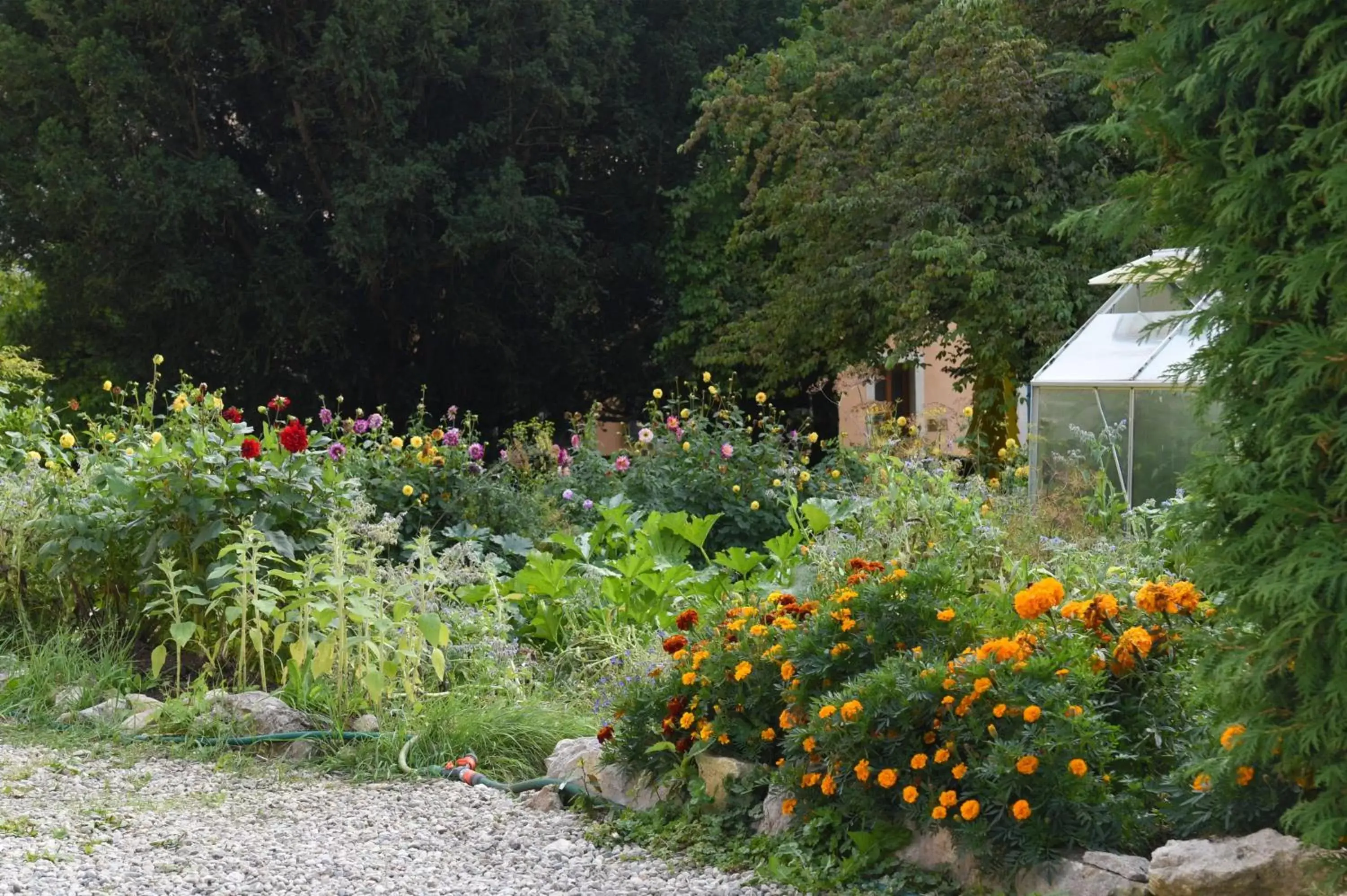 Garden in Hôtel de l'Aigle