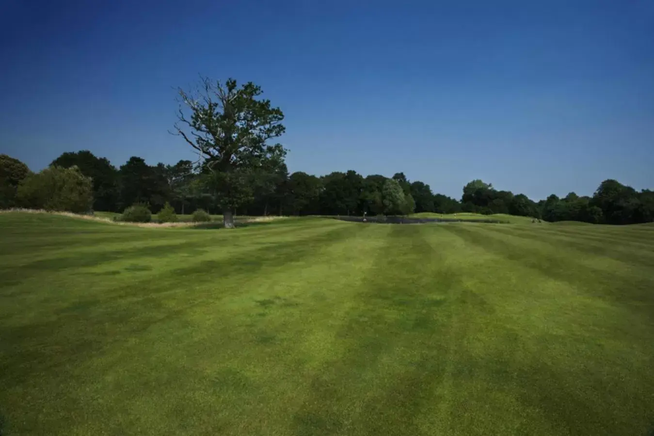 Golfcourse, Golf in The Warwickshire Hotel and Country Club