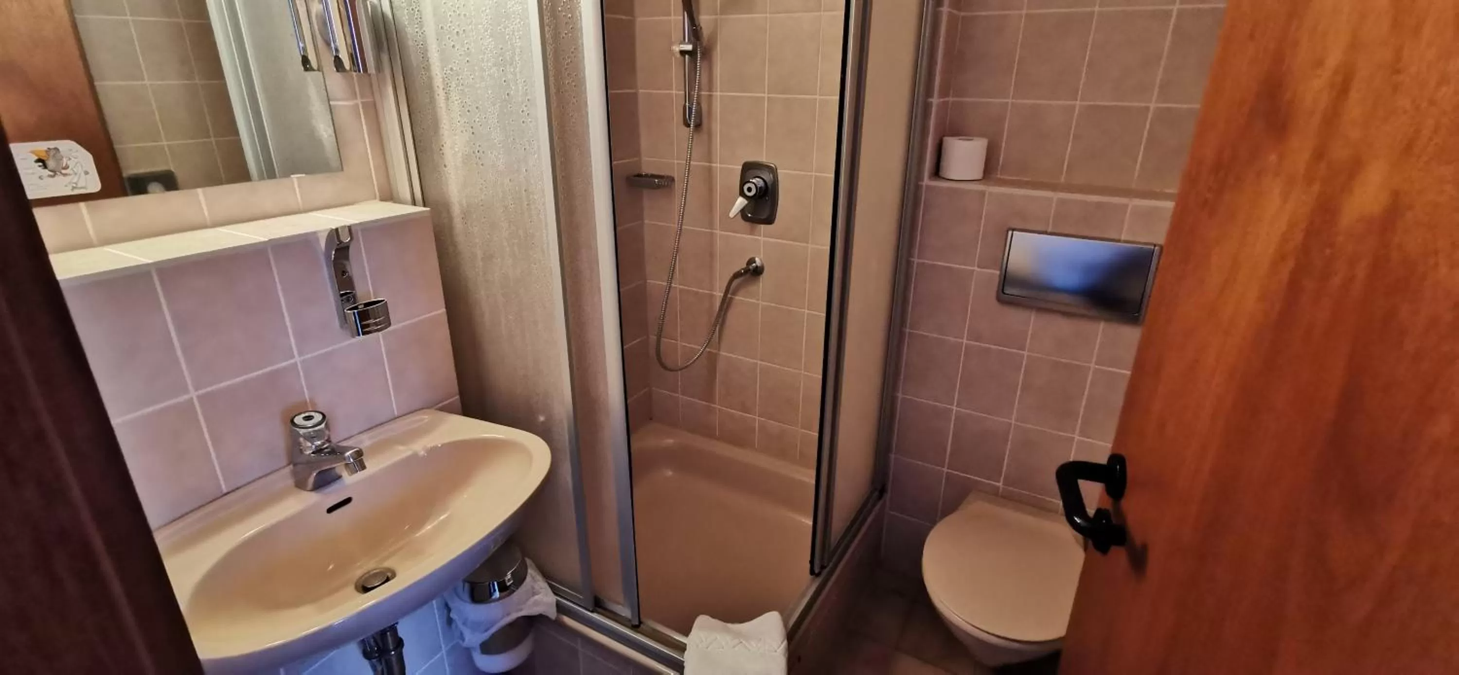 Shower in Heidehotel Soltauer Hof