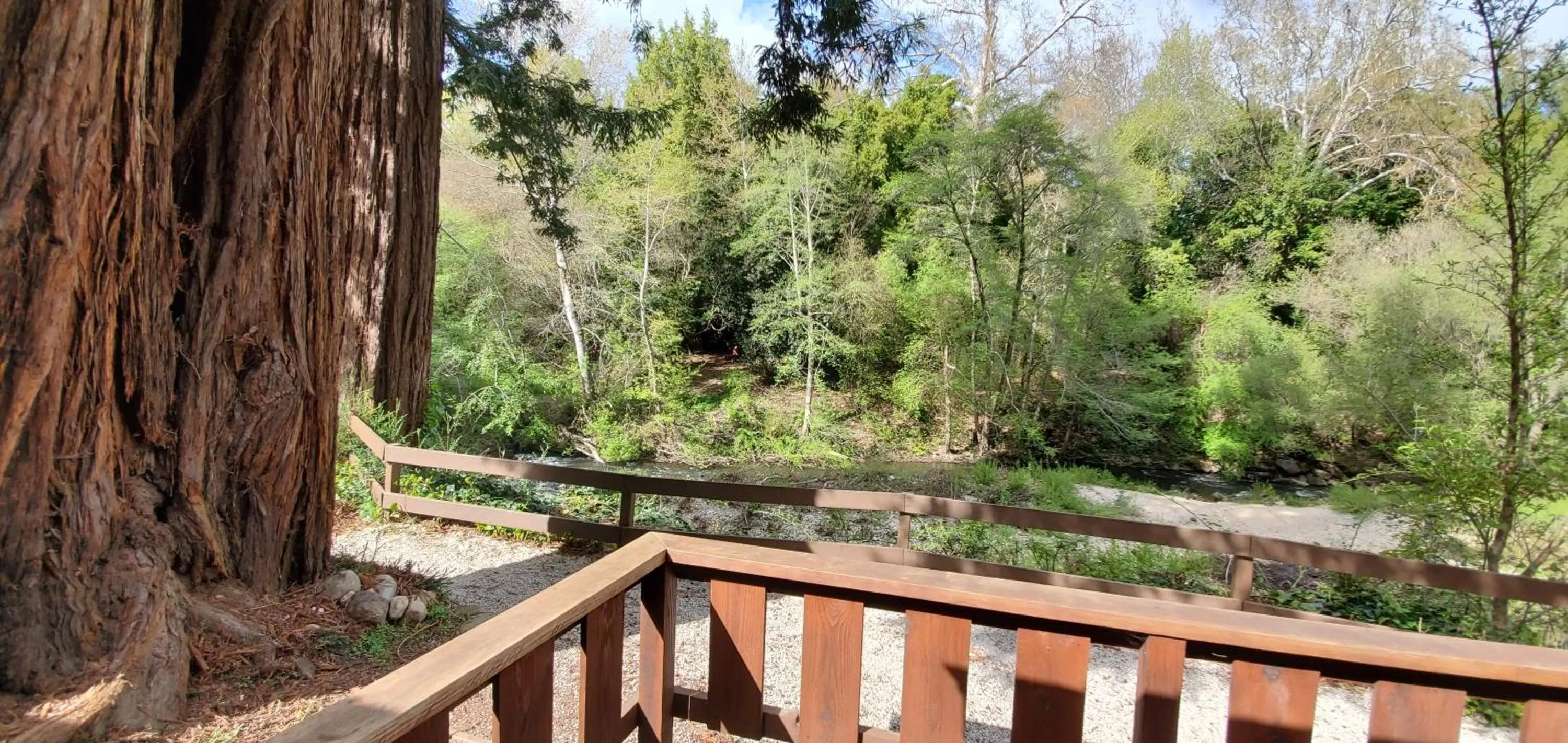 River view in Fern River Resort