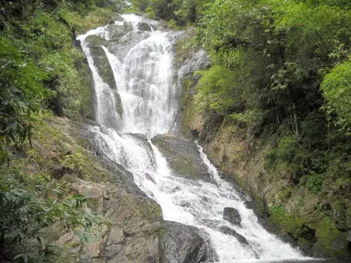 Natural Landscape in Khaosok Rainforest Resort