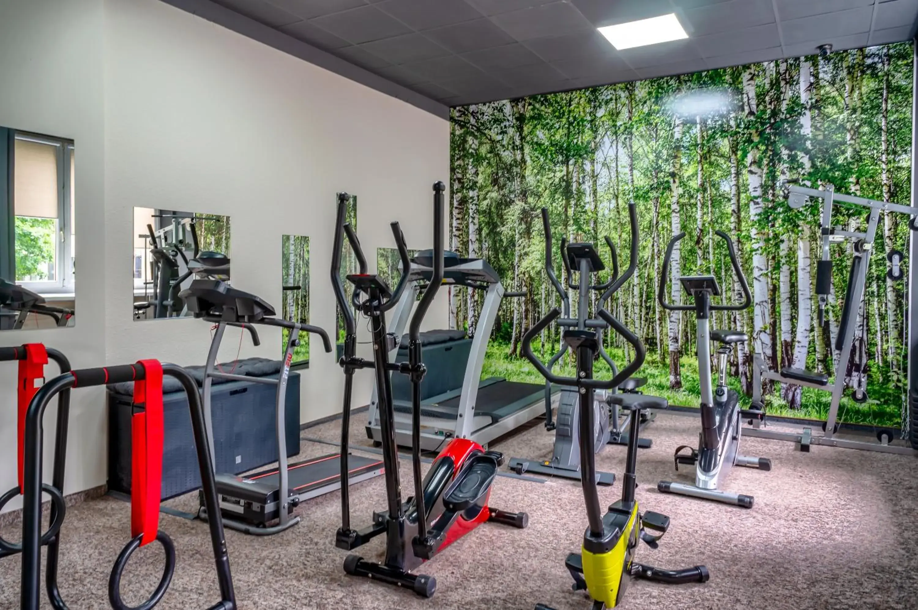 Fitness centre/facilities, Fitness Center/Facilities in Mercure Czestochowa Centrum