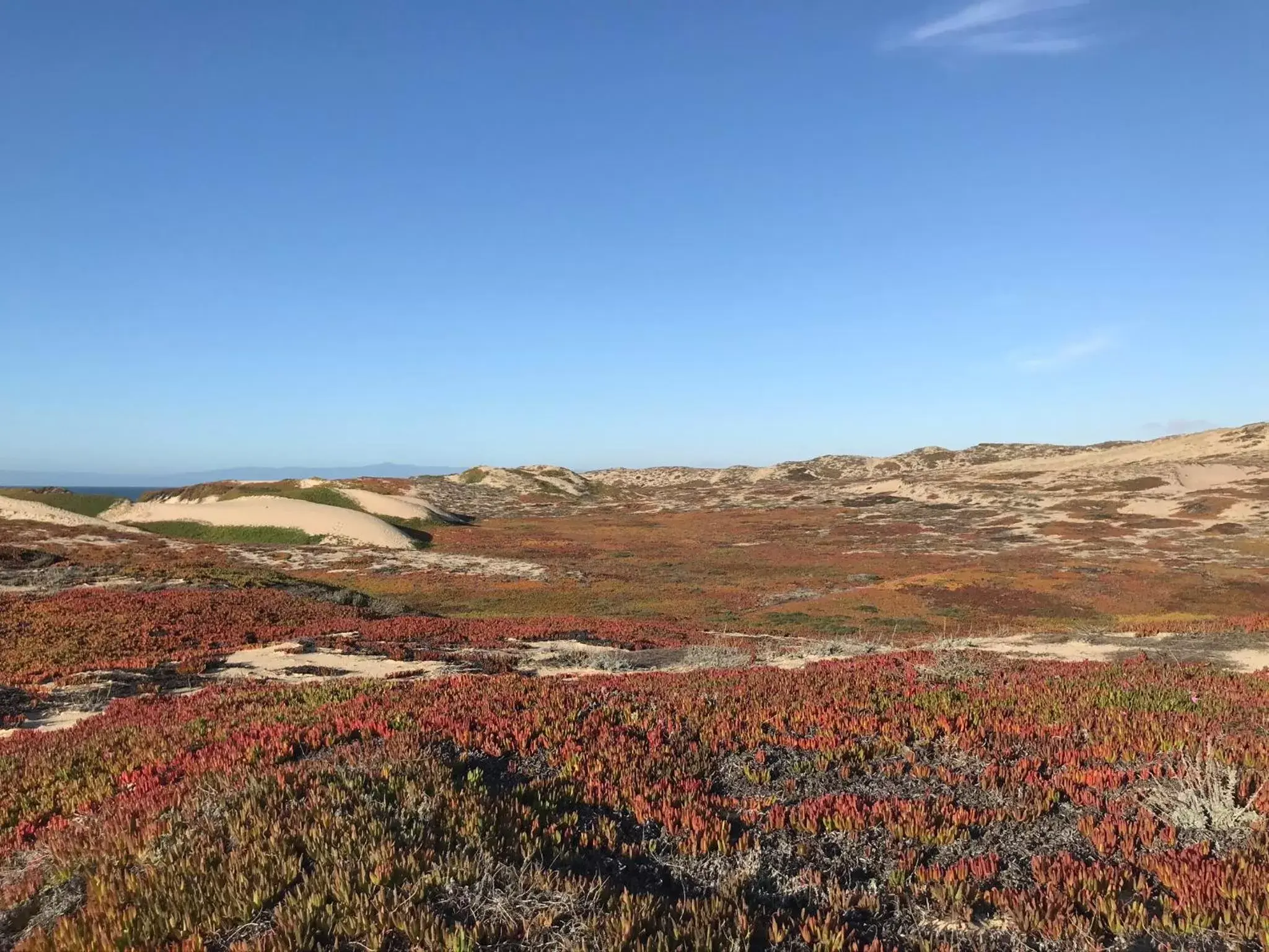 Natural Landscape in Country Inn & Suites by Radisson, Monterey Beachfront-Marina, CA