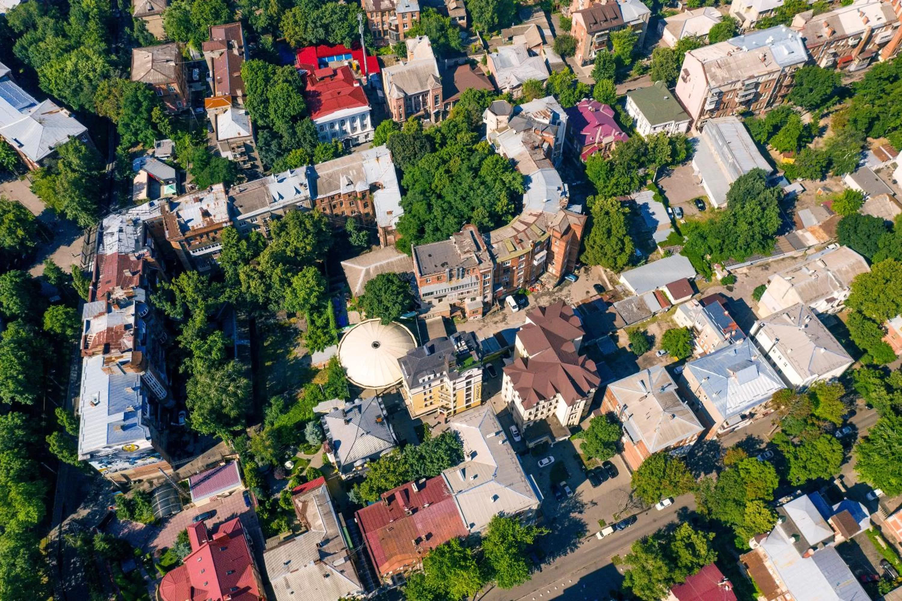 Garden in Hotel "Mandarin Clubhouse"