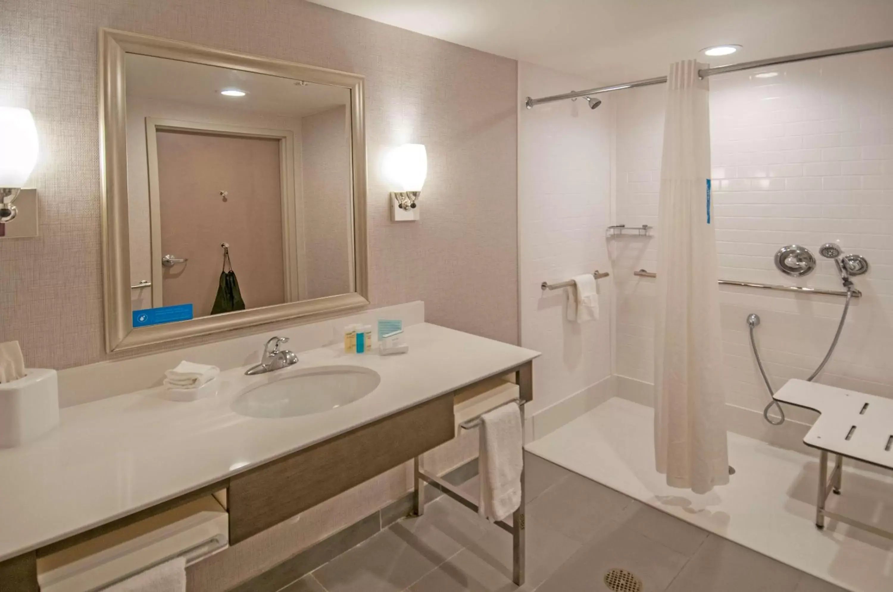 Bathroom in Hampton Inn & Suites Ridgeland