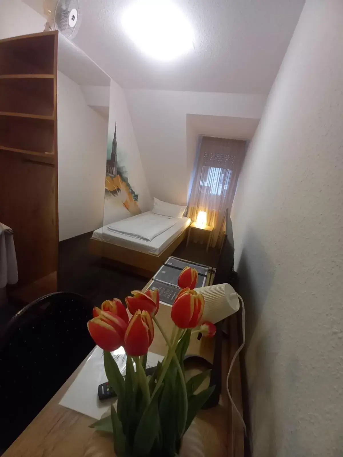 Budget Single Room - single occupancy in Hotel Ulmer Stuben