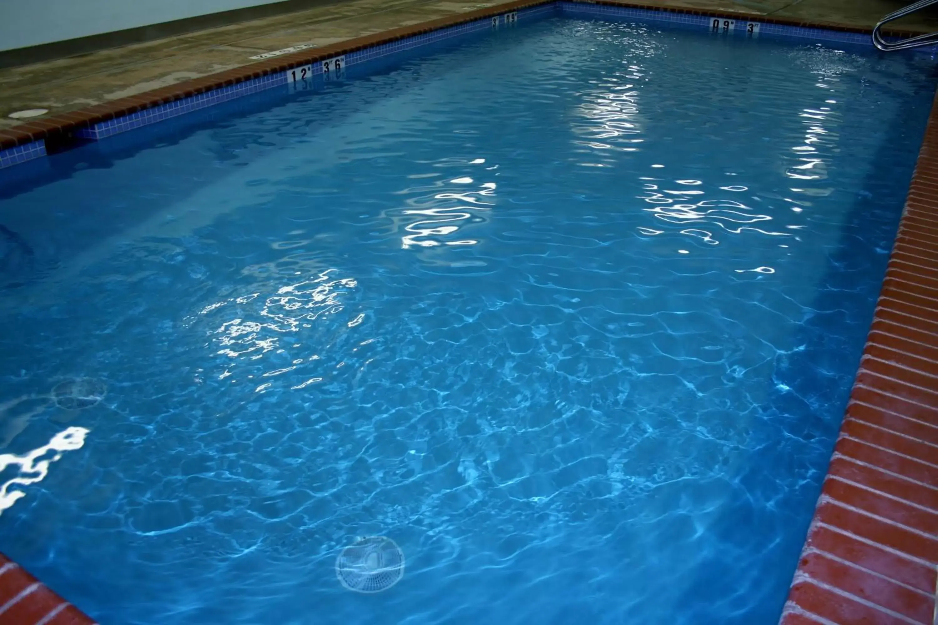 Swimming Pool in Evergreen Inn & Suites