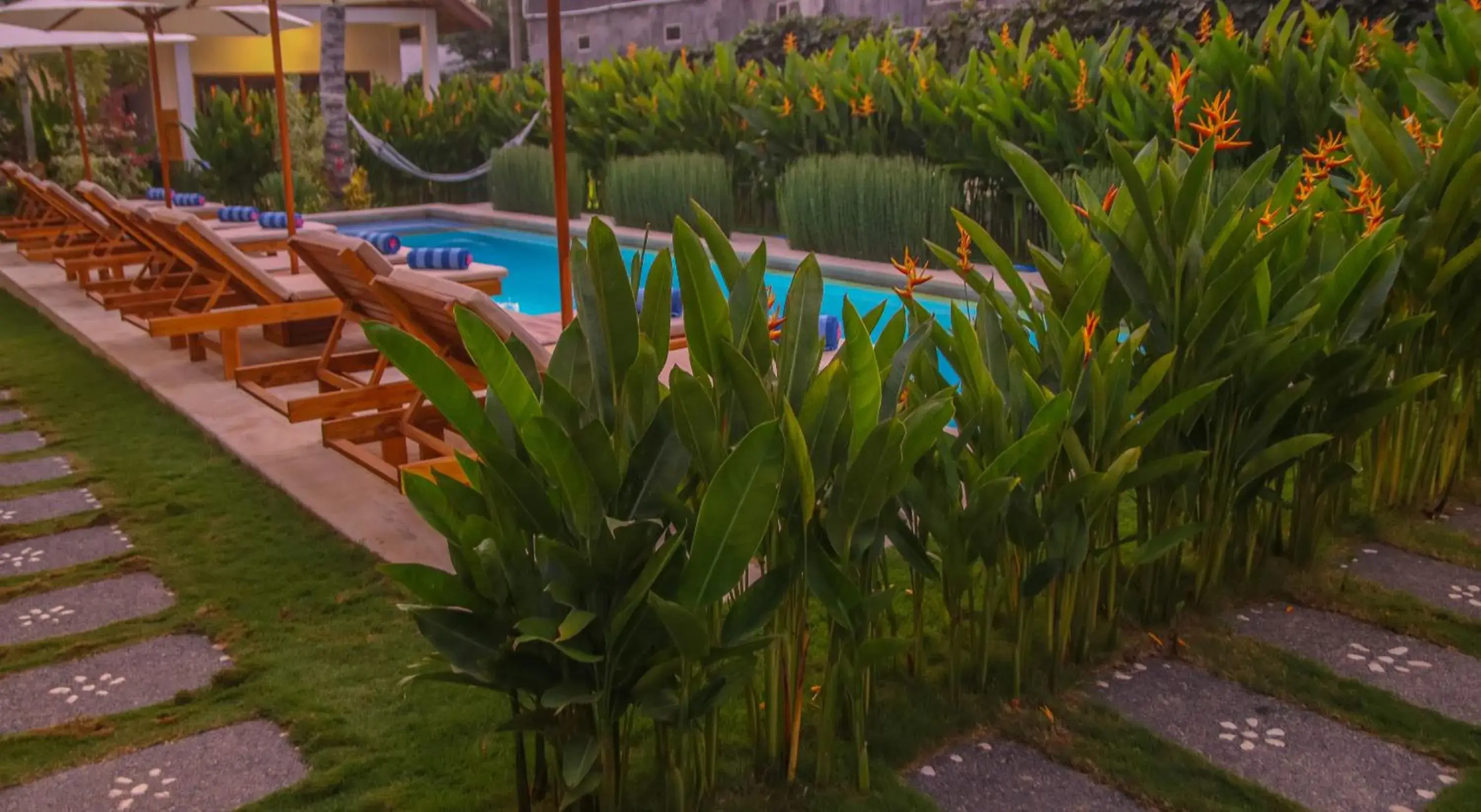 Garden, Swimming Pool in Cozy Cottages Lombok
