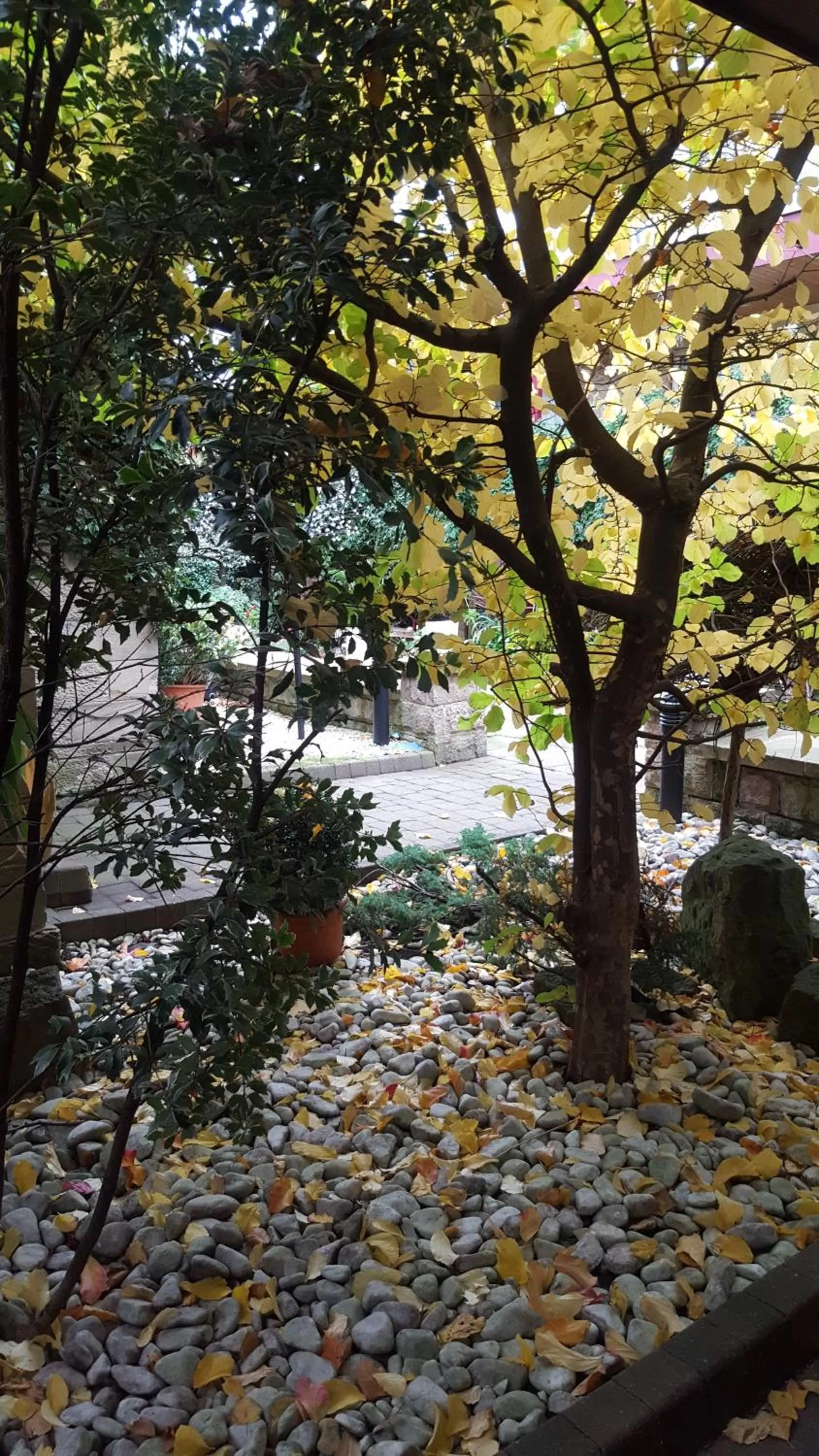 Autumn in Garrison Hotel