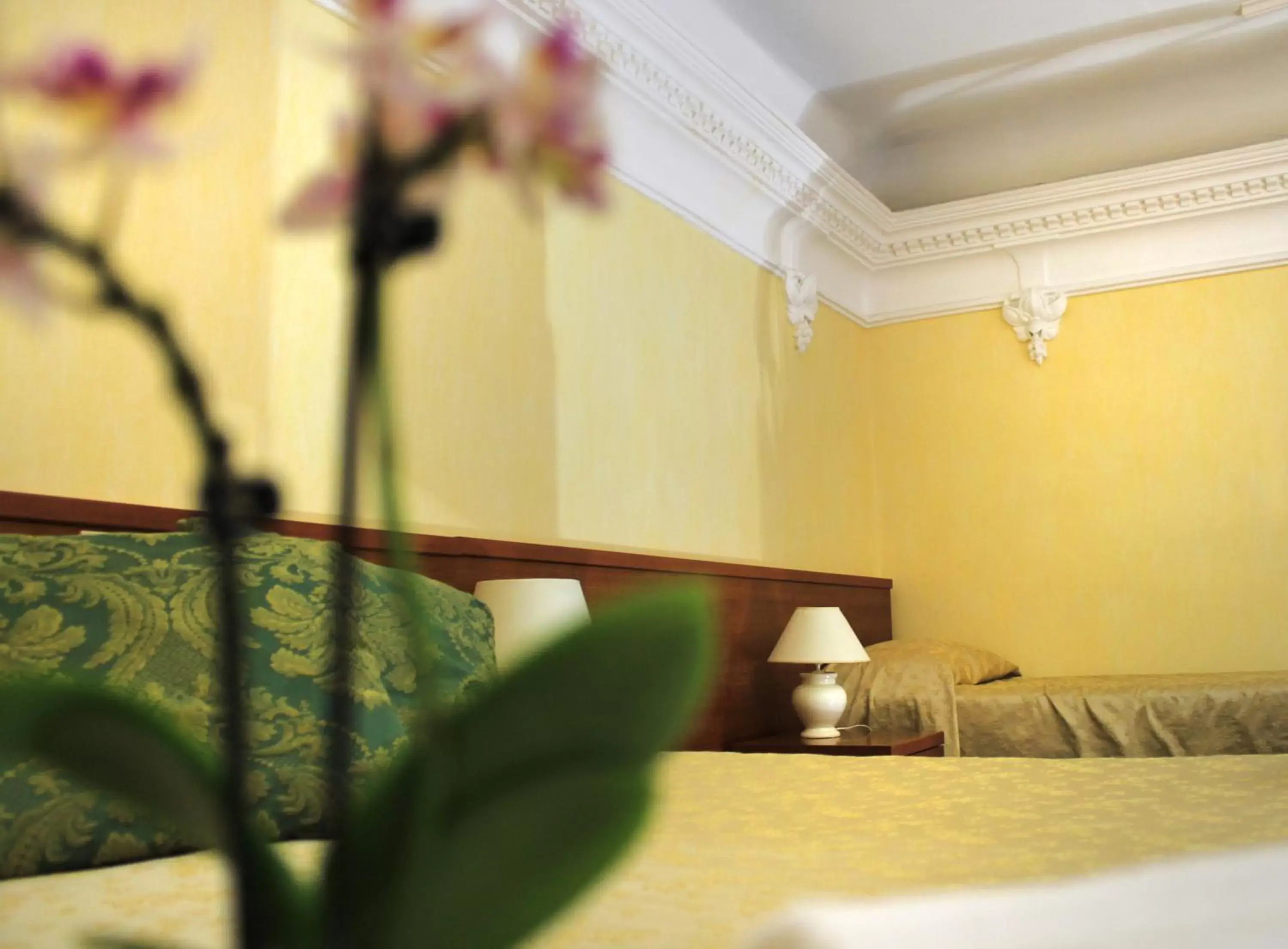 Photo of the whole room, Bed in Hotel Villa Delle Rose
