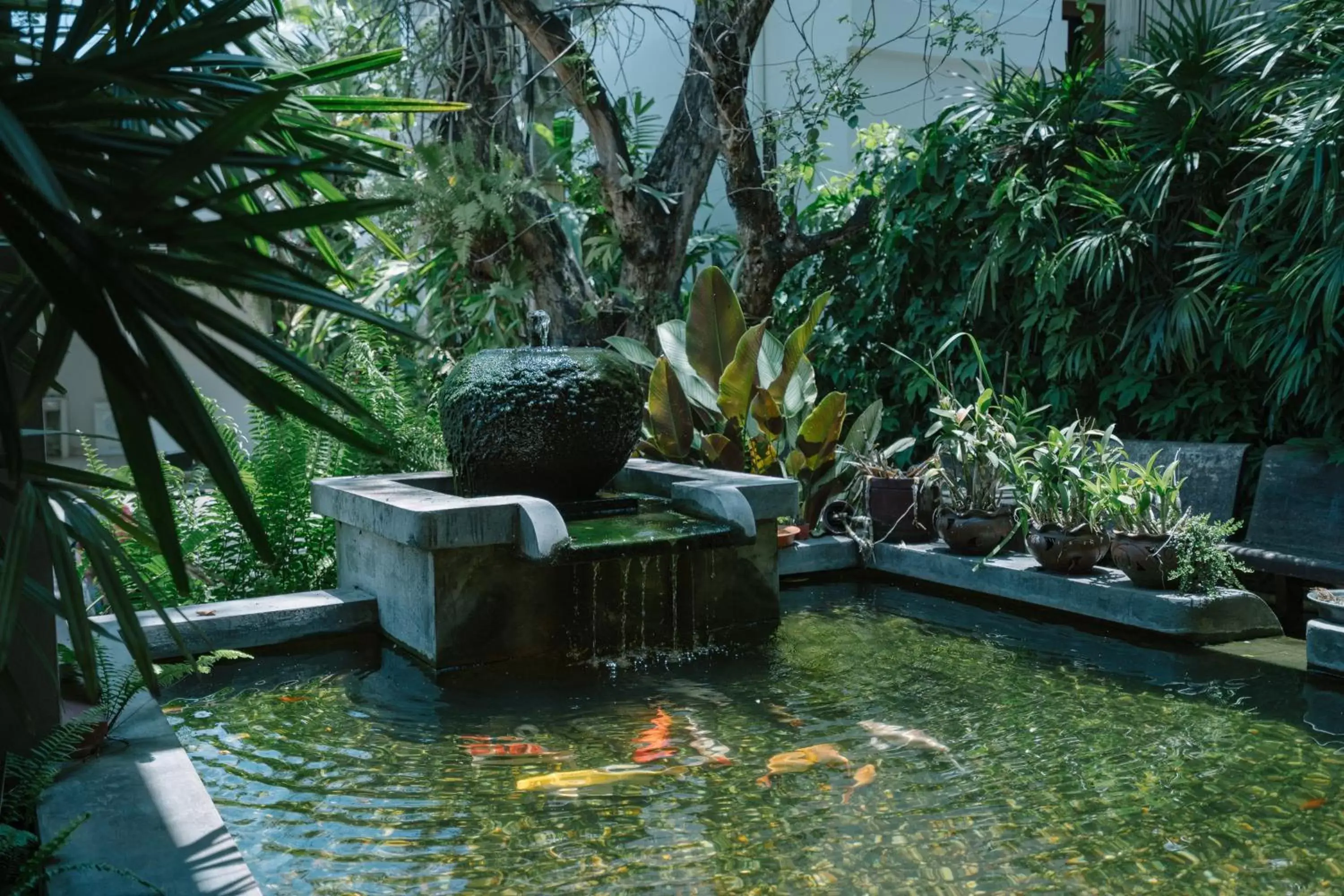 Garden in The Opium Chiang Mai