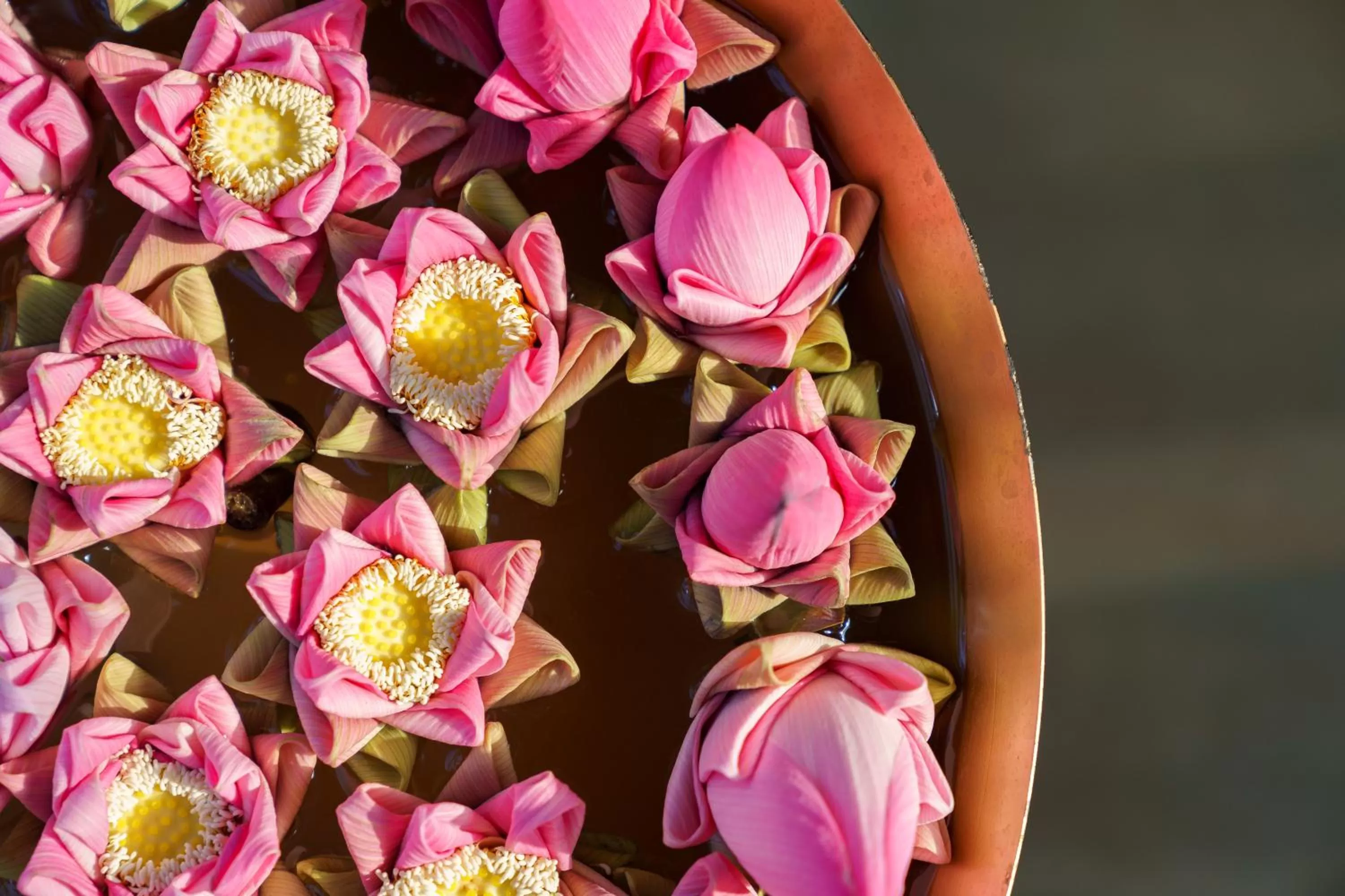 Food and drinks in Koulen Hotel