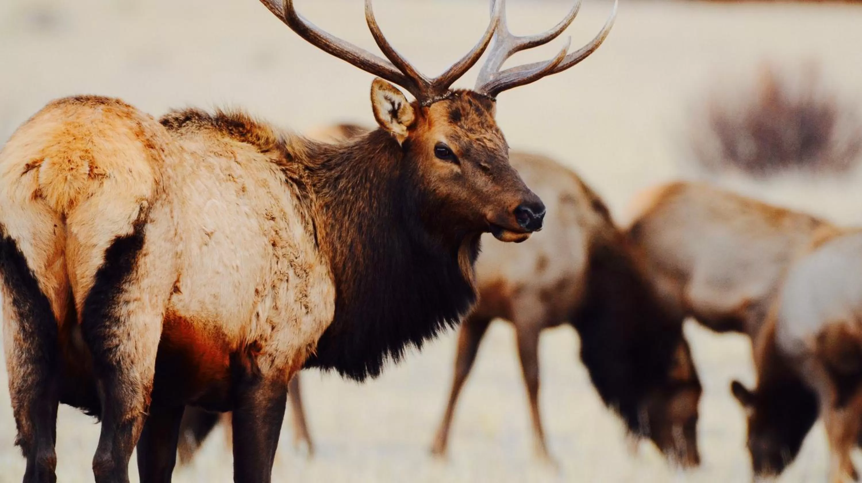 4 Seasons Inn on Fall River