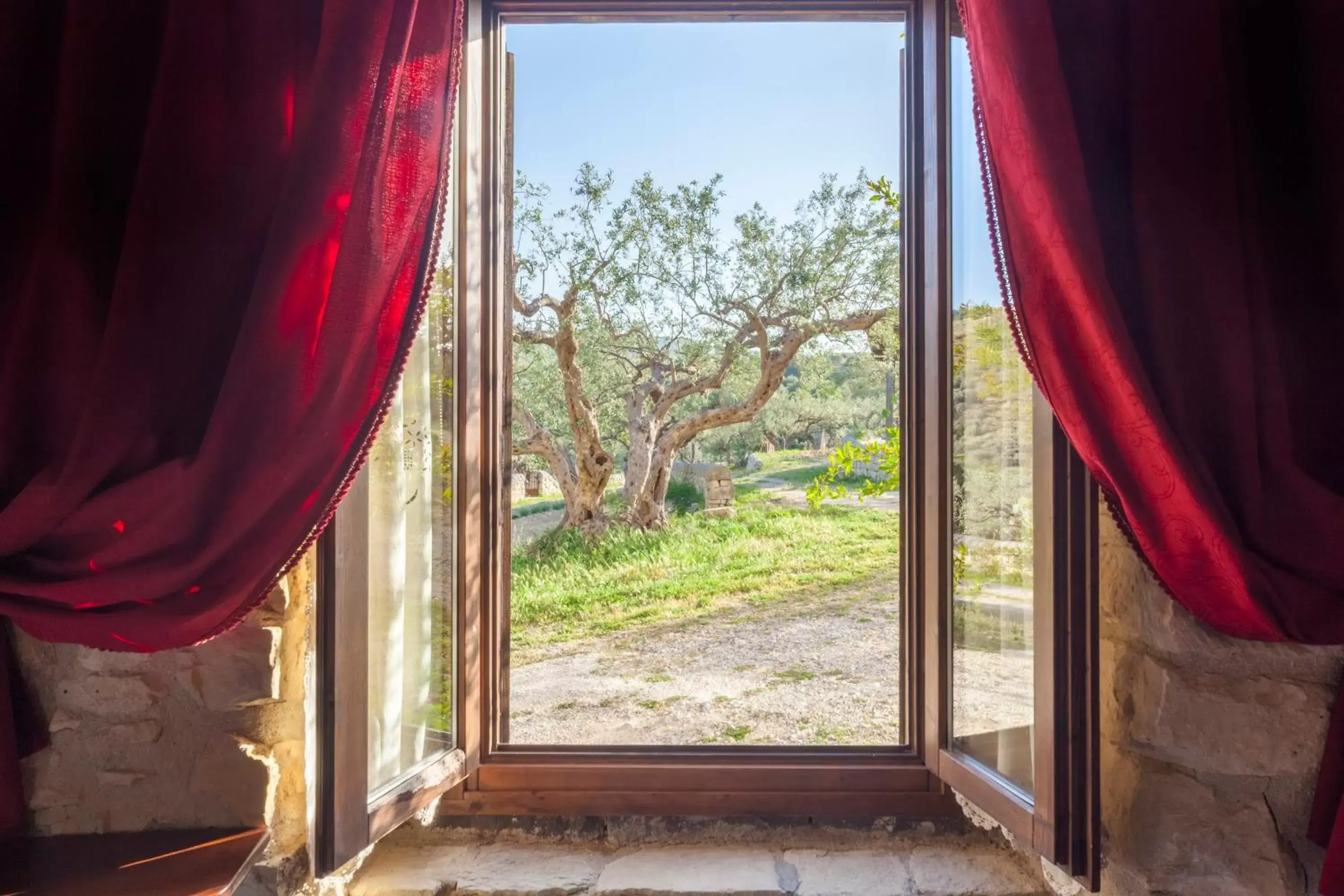 Garden view in Masseria Fortificata Lo Zafferaneto