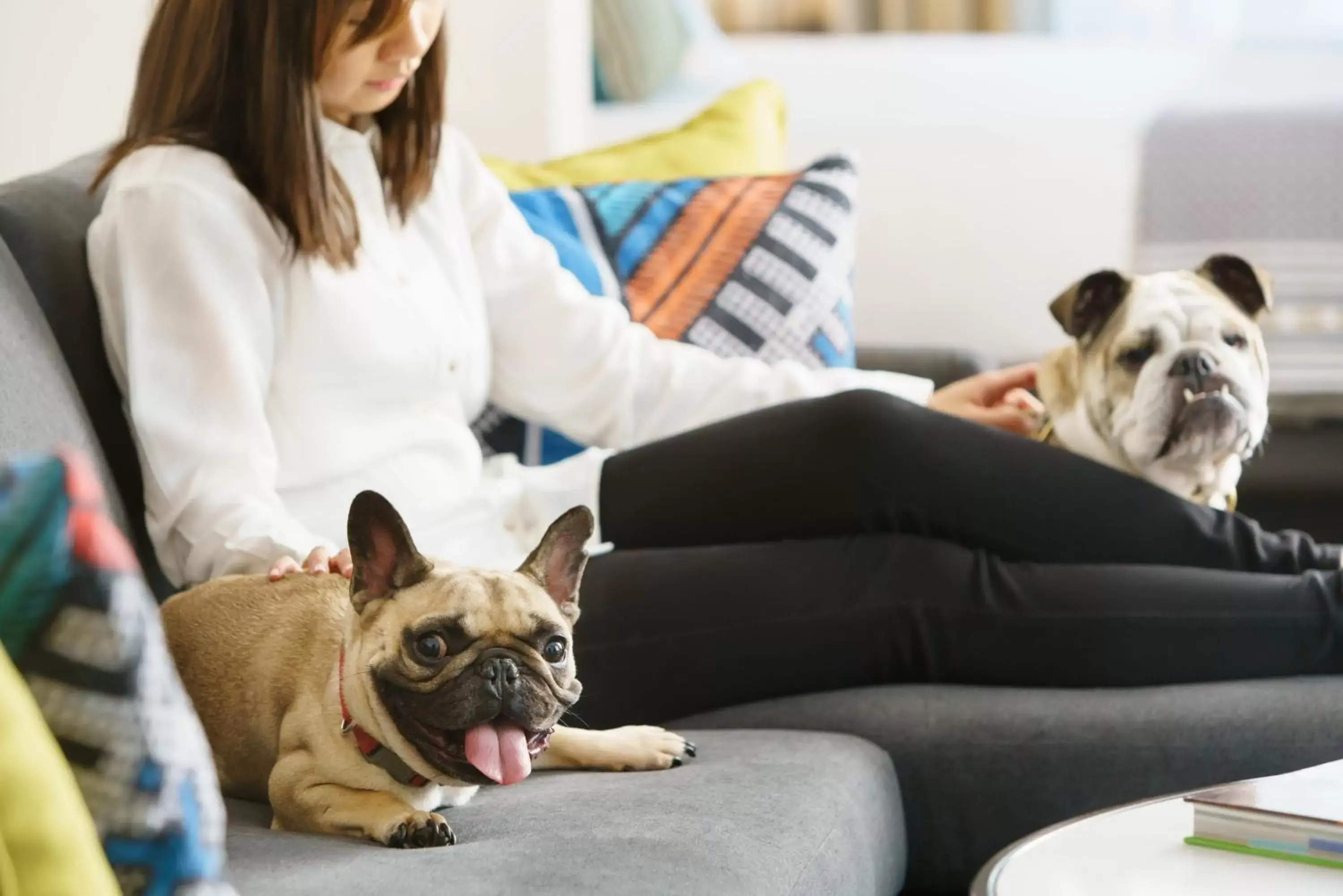 Pets in Hotel Spero