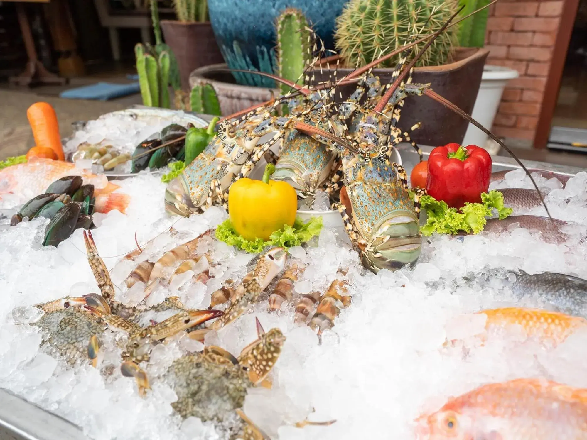 Food in Baan Sailom Hotel Phuket - Sha Extra Plus Food in Baan Sailom Hotel Phuket - Sha Extra Plus