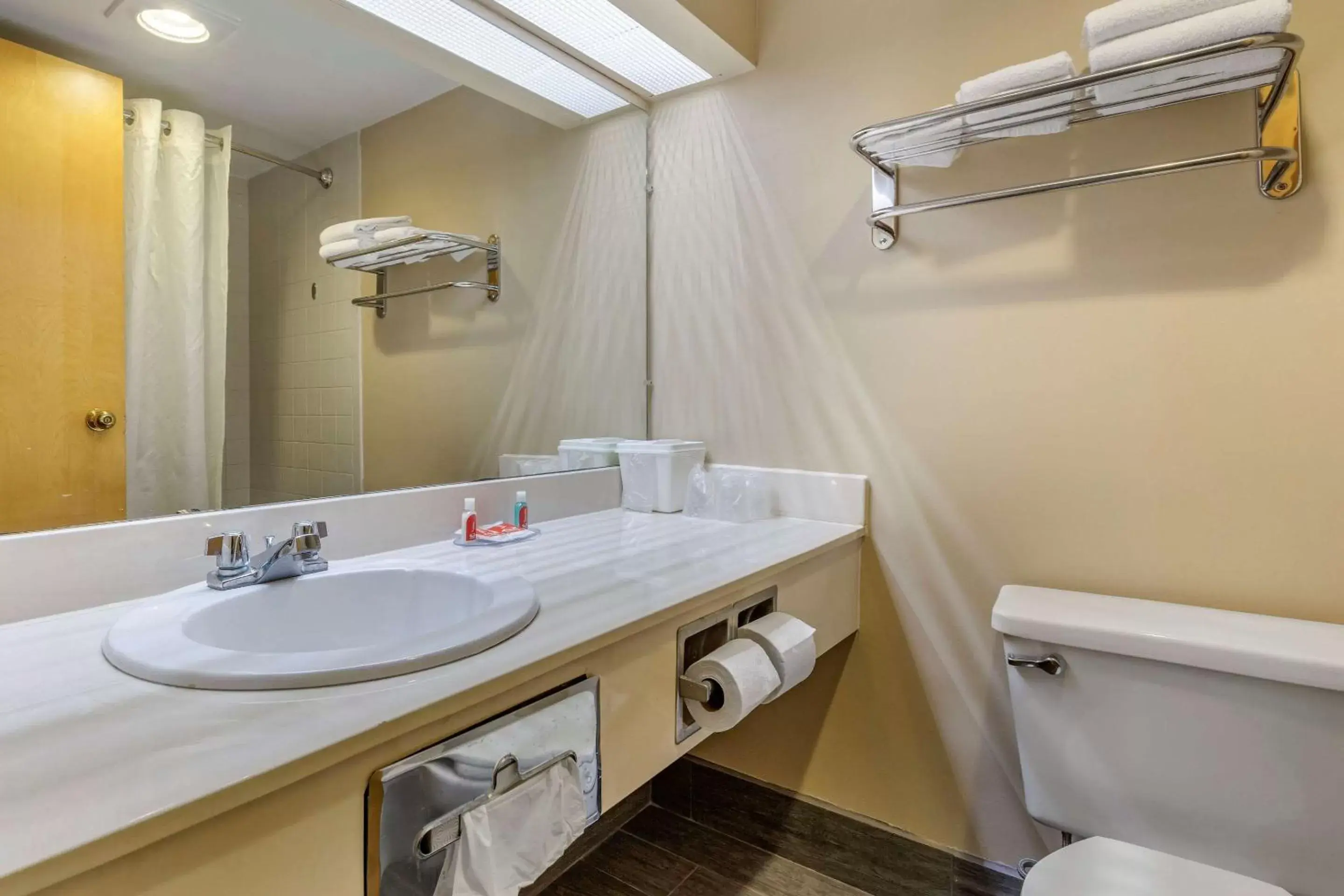 Bathroom in Econo Lodge & Suites Southern Pines