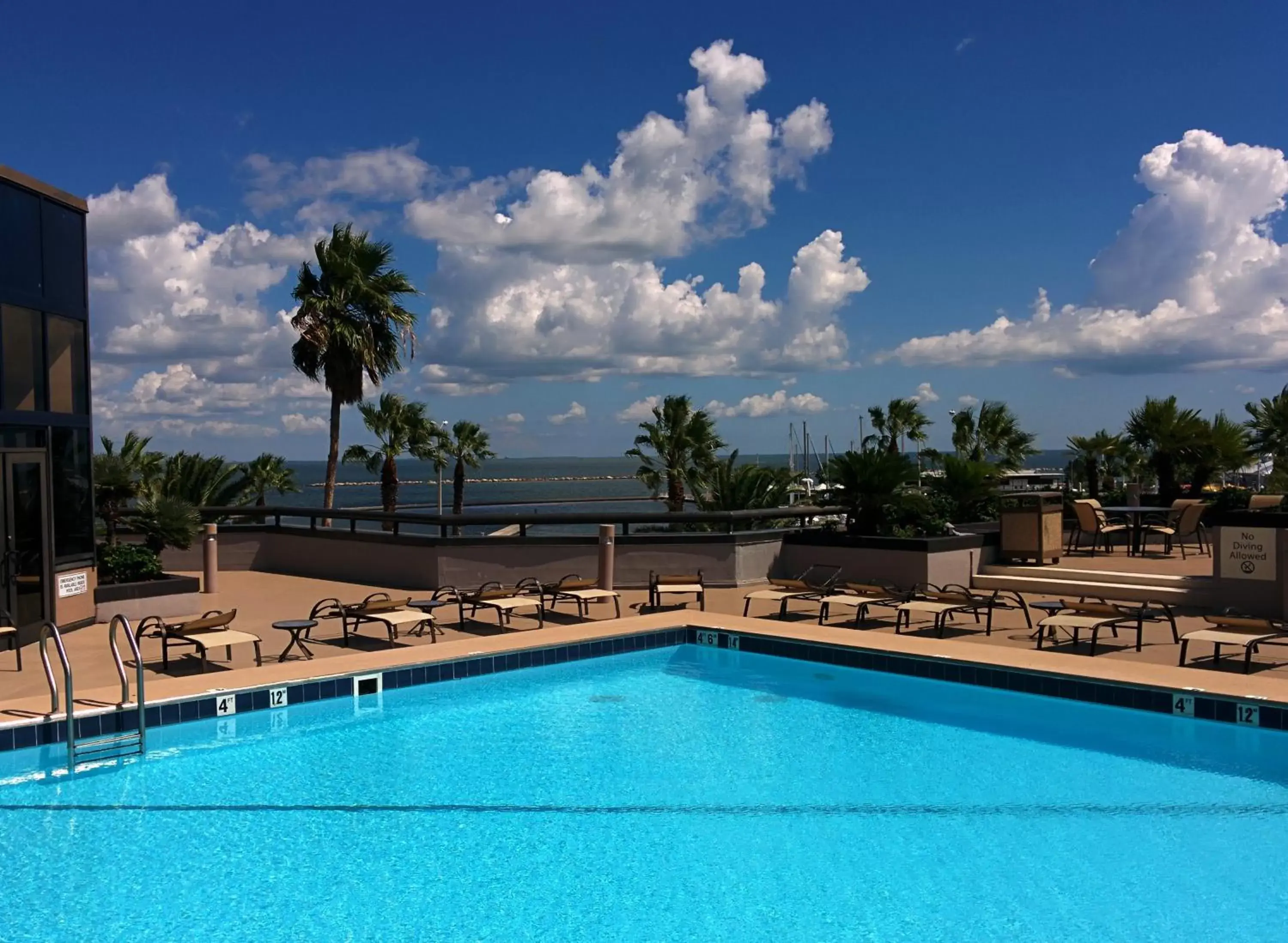 Swimming Pool in Holiday Inn Corpus Christi Downtown Marina, an IHG Hotel