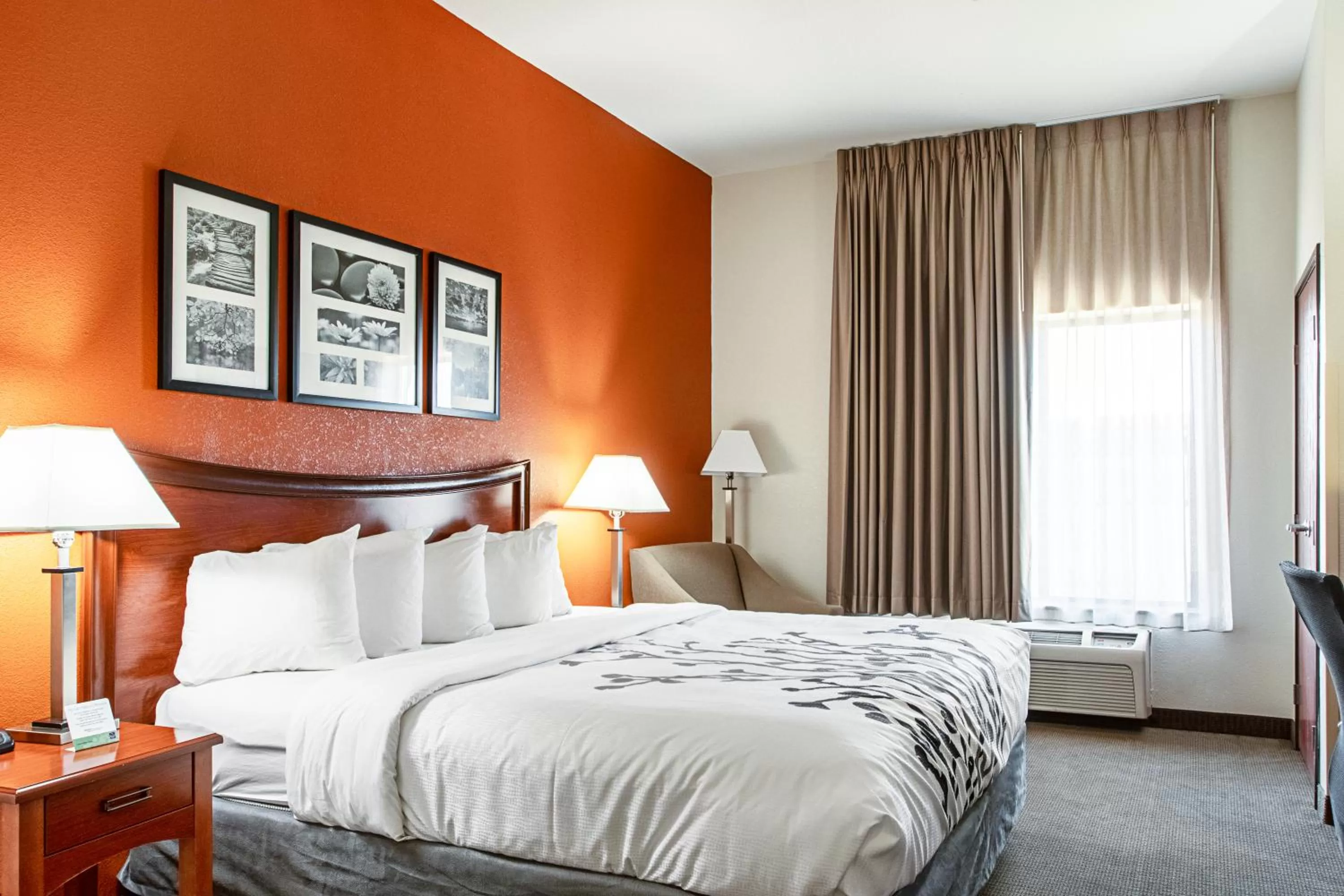 Bedroom, Bed in Sleep Inn & Suites Hobbs