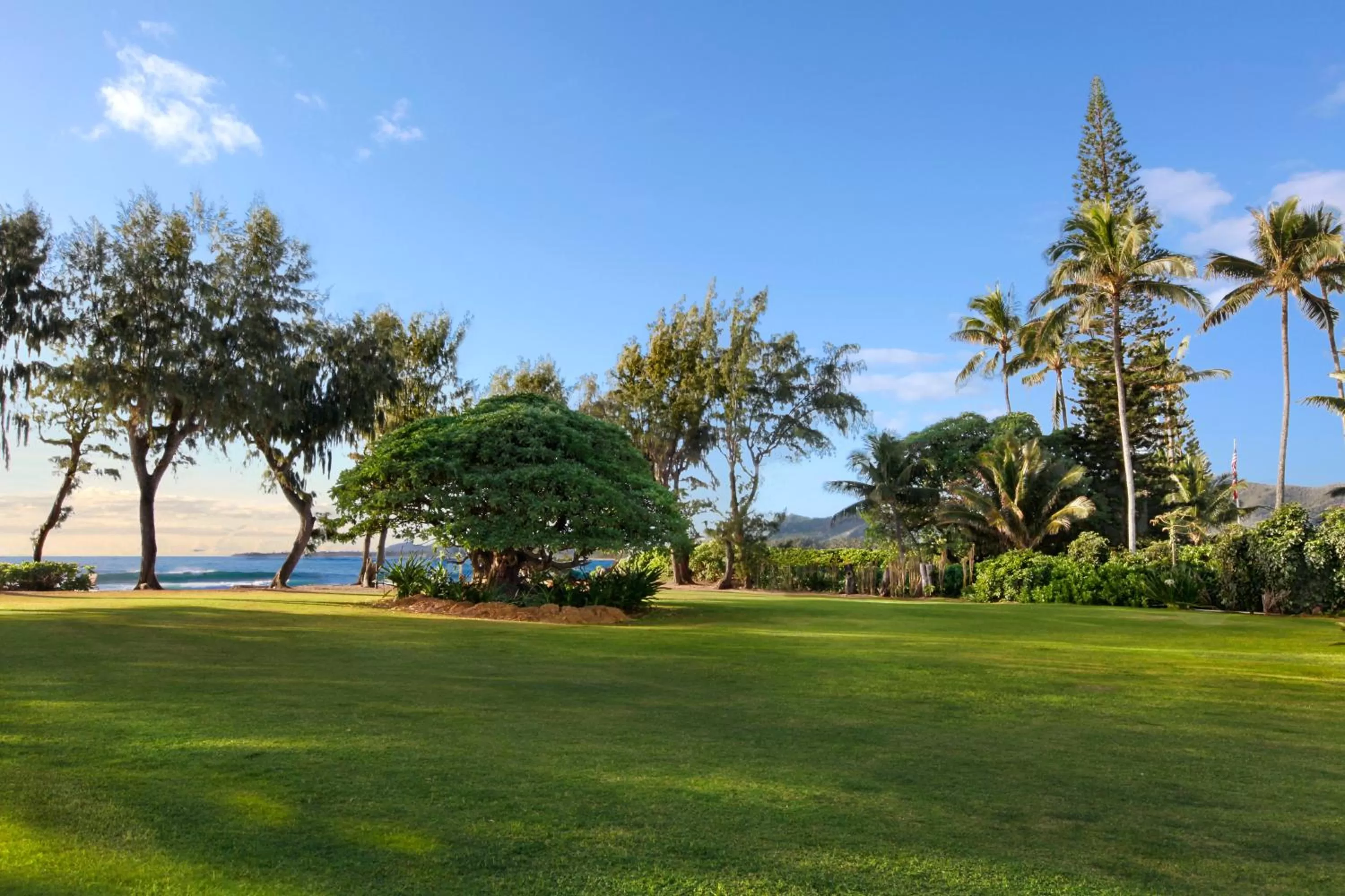 Natural landscape in Kauai Shores Hotel