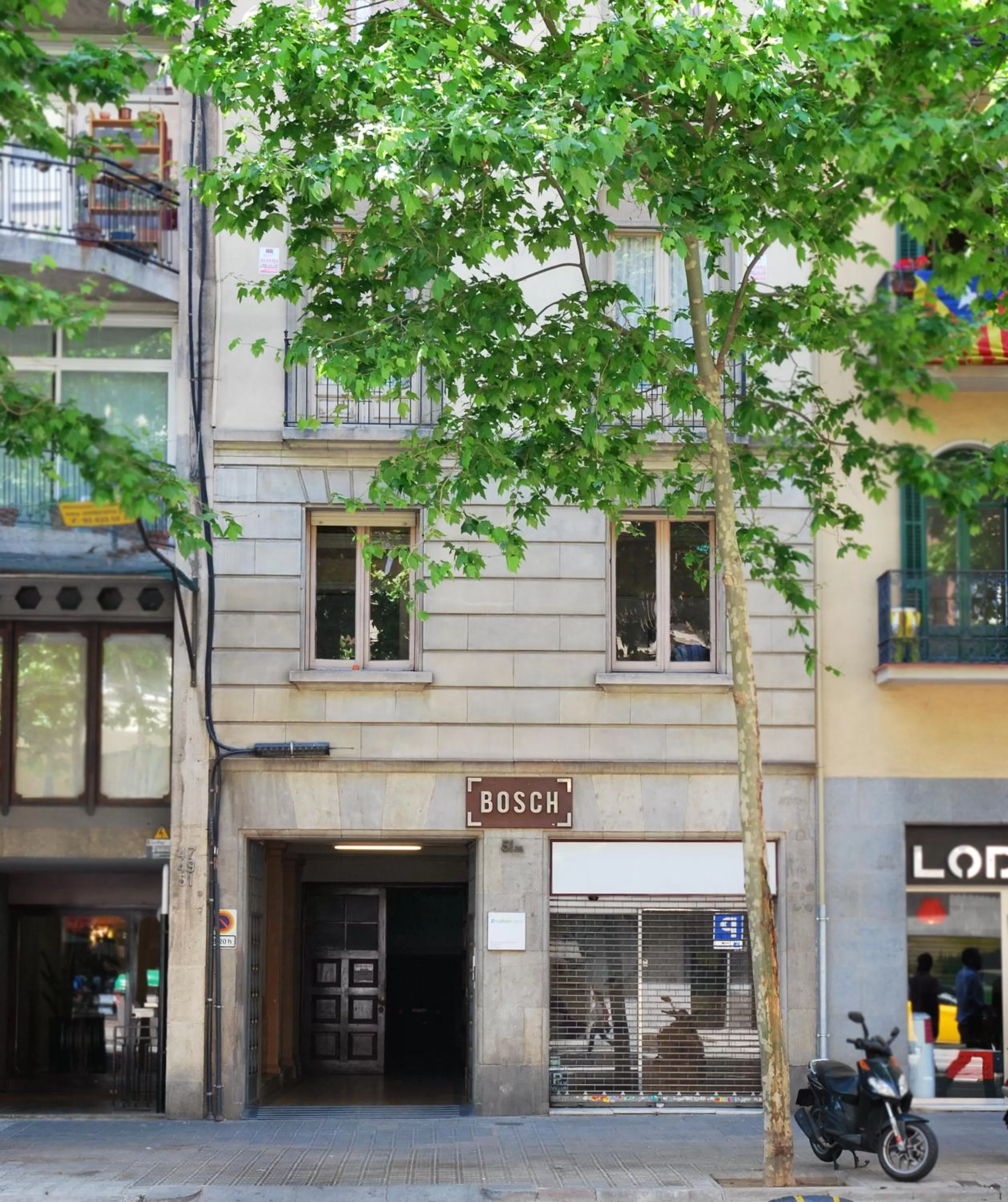 Facade/entrance in Bird House