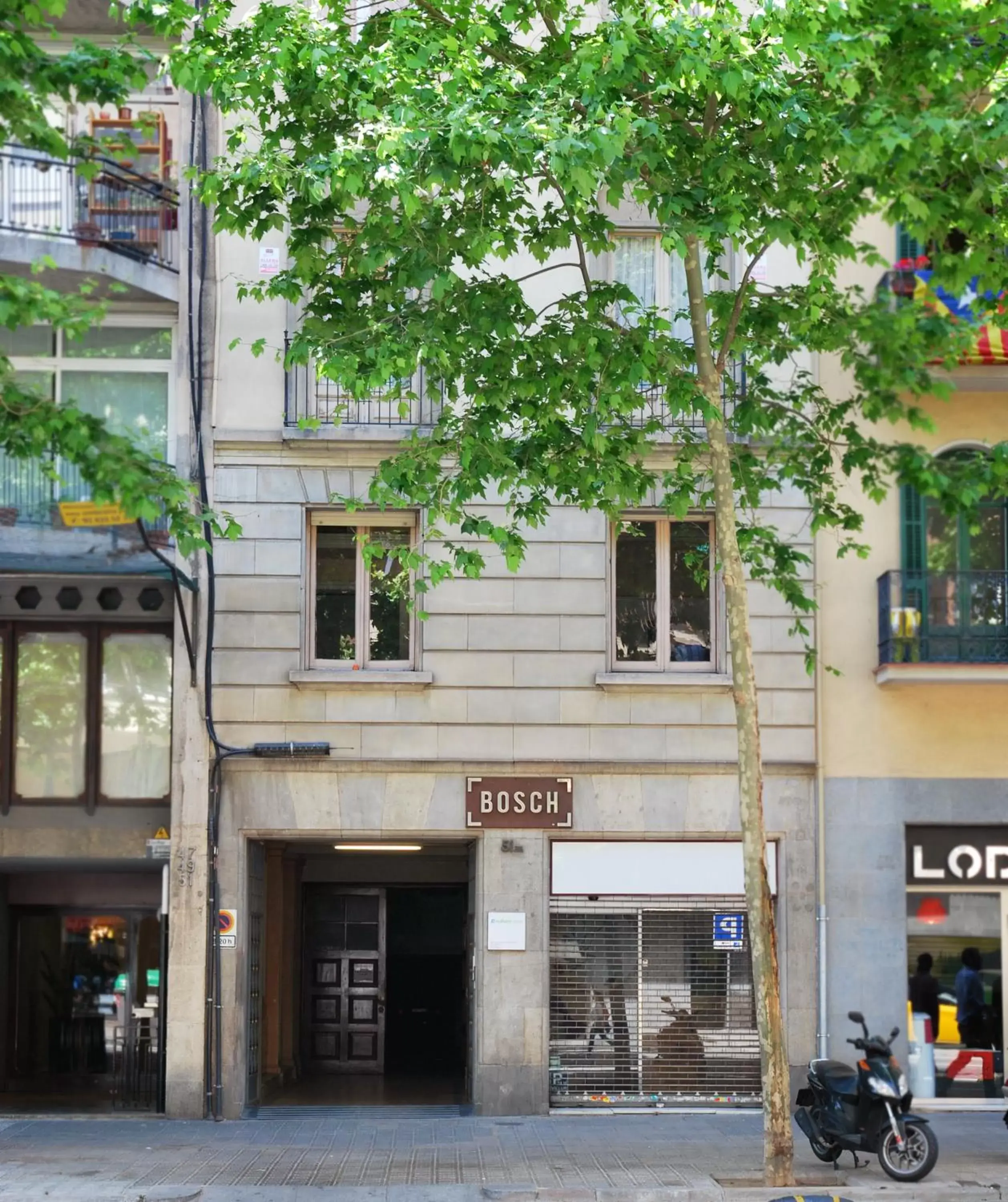 Facade/entrance in Bird House Facade/entrance in Bird House