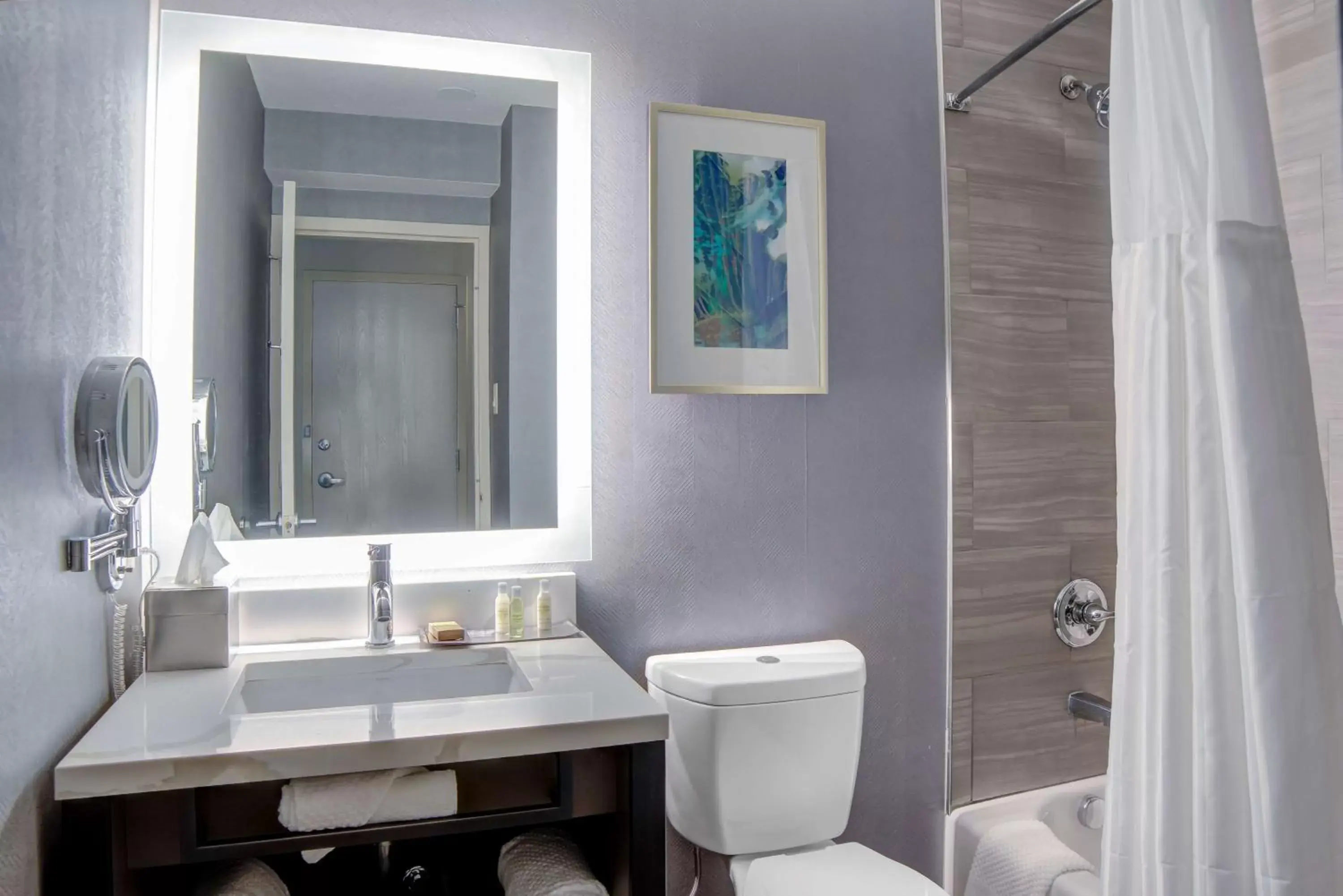 Bathroom in Doubletree by Hilton Harrisonburg