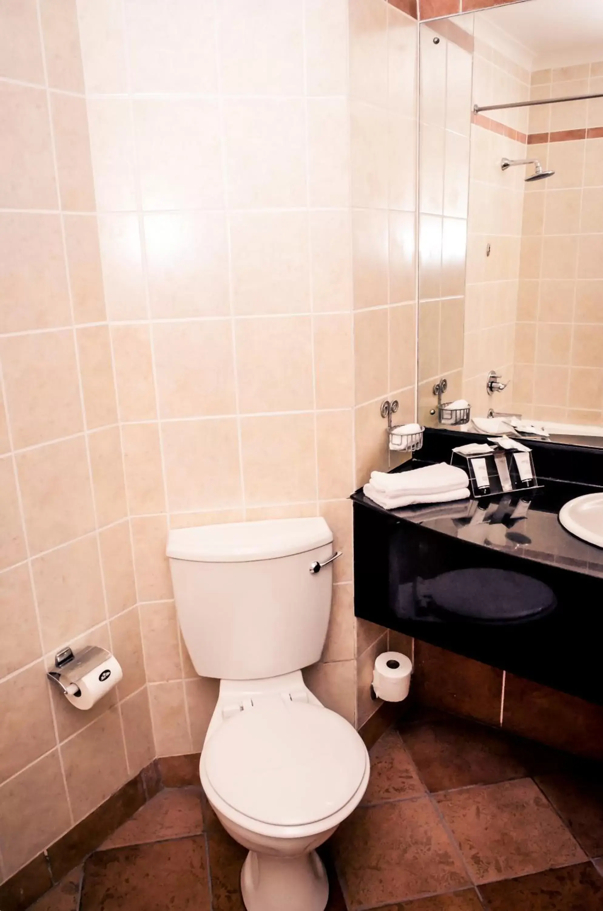 Toilet, Bathroom in The Riverside Hotel