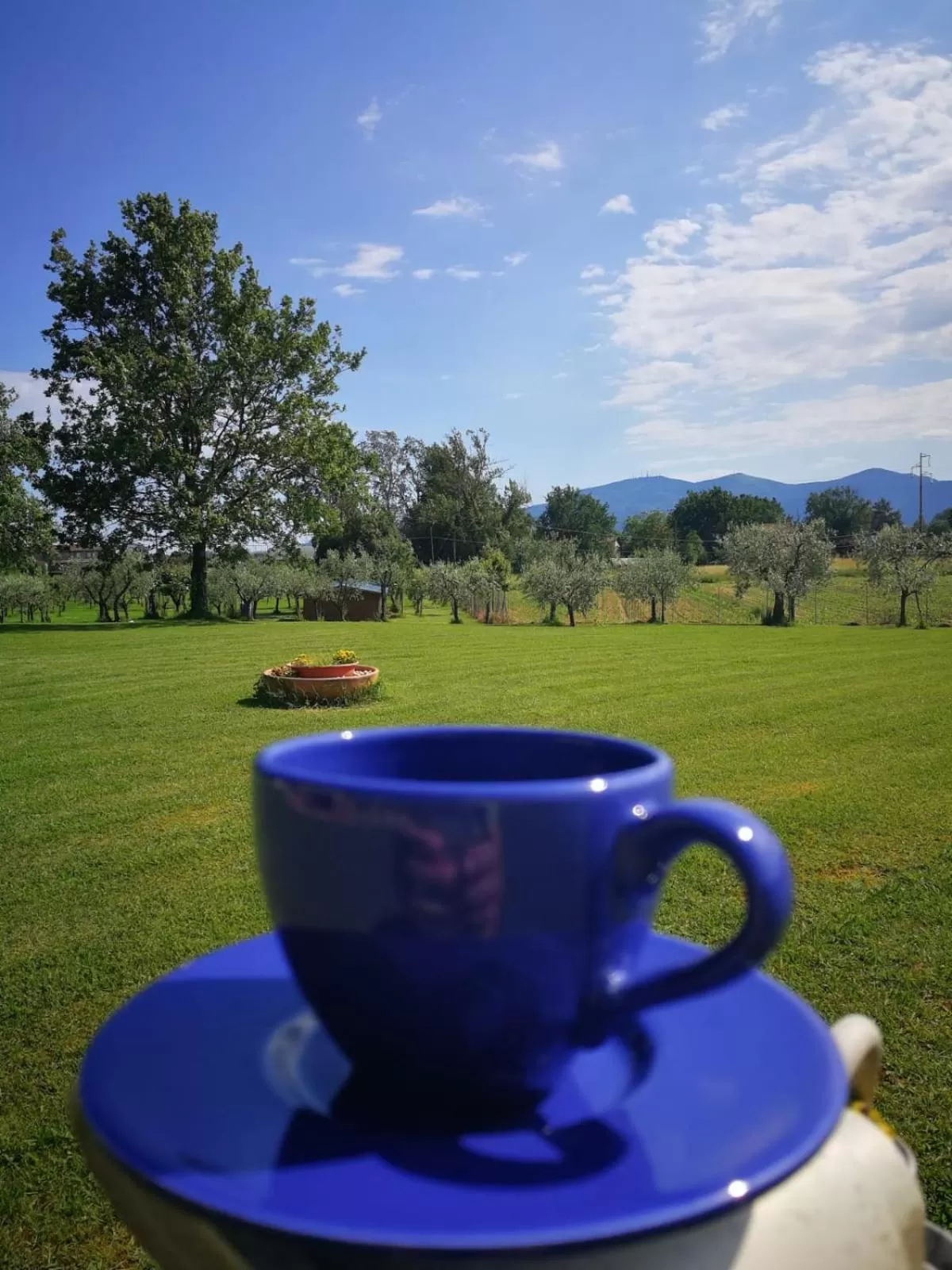 Garden in B&B La Fornace del Sole