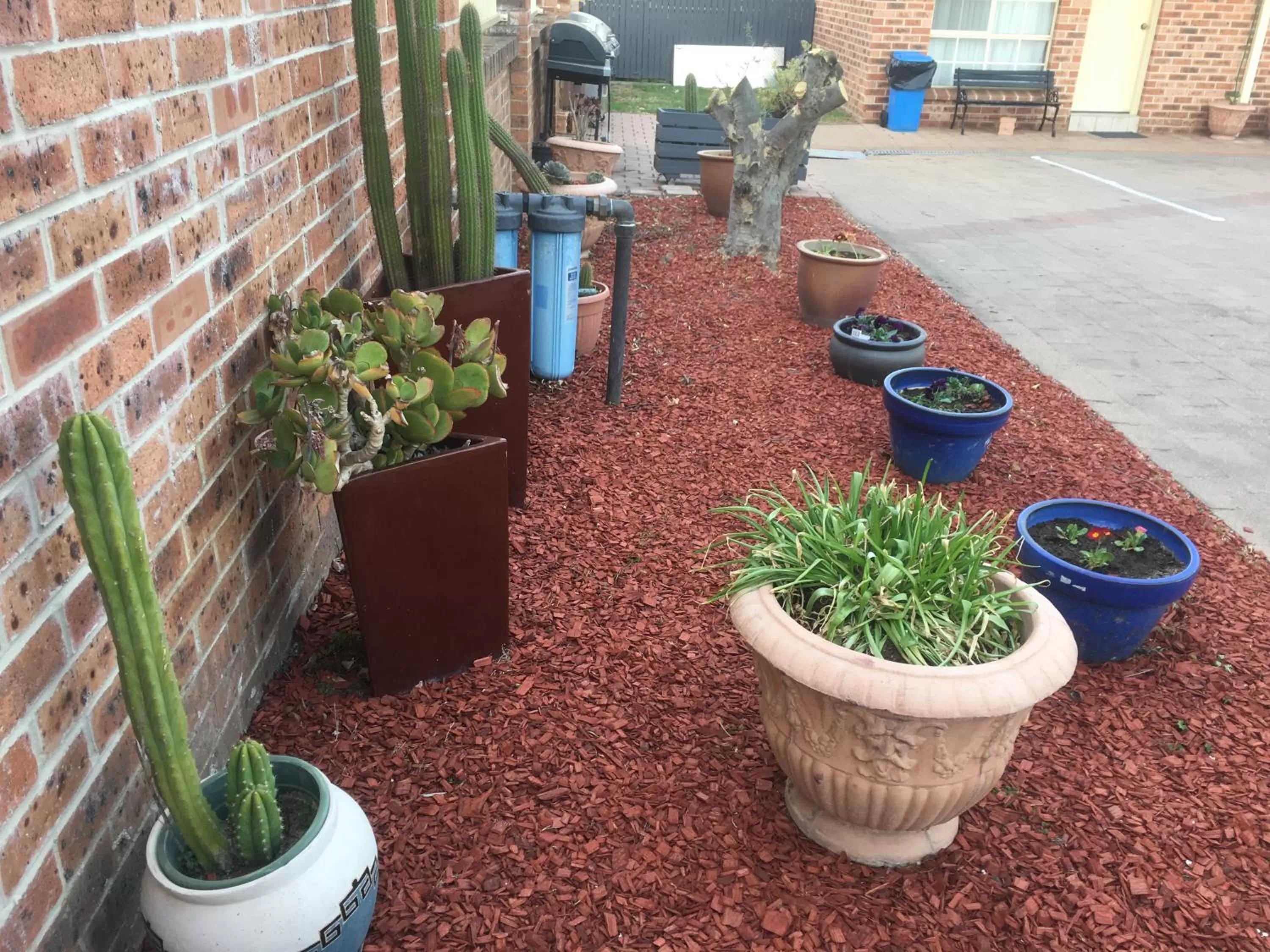 Garden in Golden Chain Aalana Motor Inn