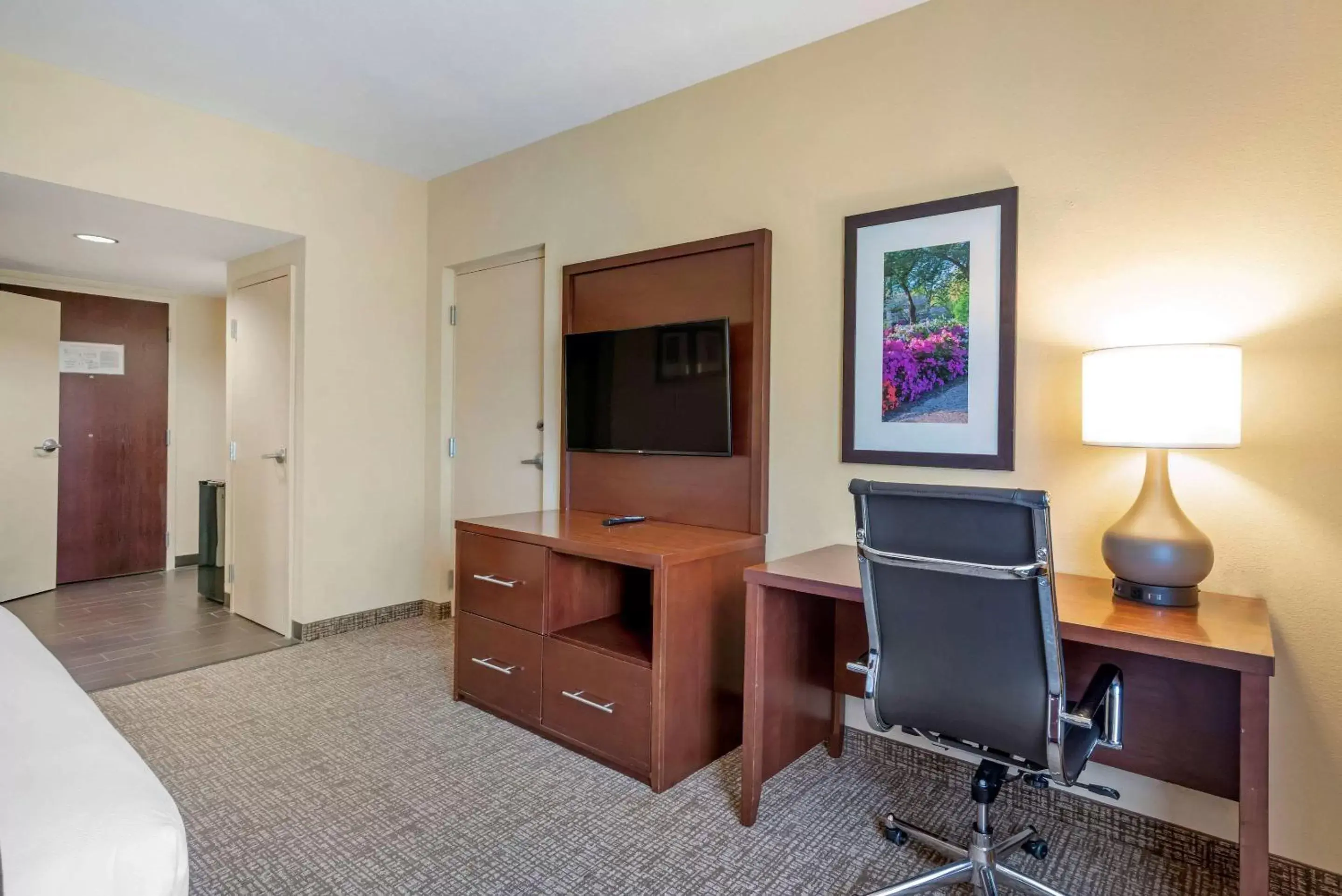 Photo of the whole room, TV/Entertainment Center in Comfort Suites Fredericksburg North