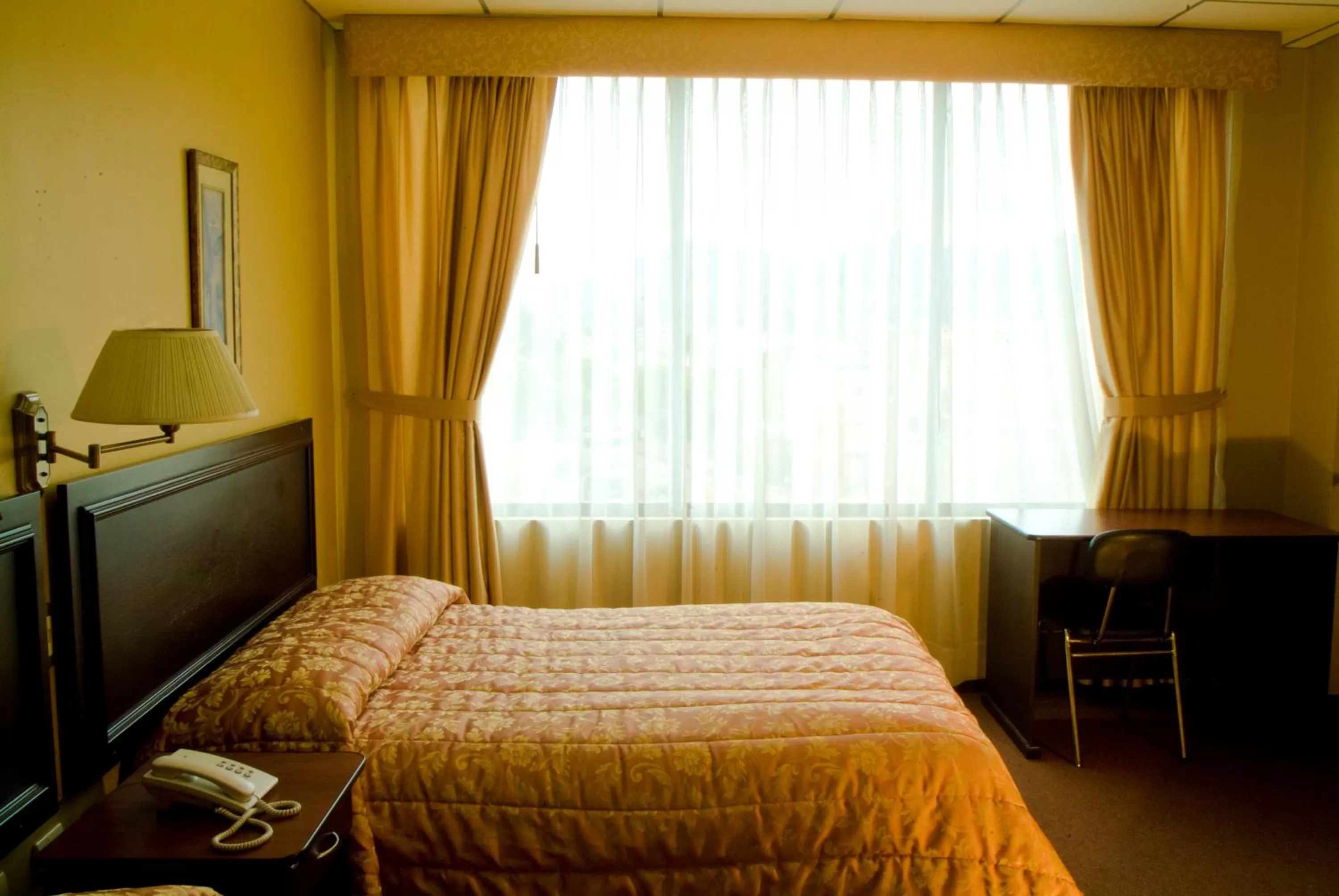 Day, Bed in Hotel Podocarpus