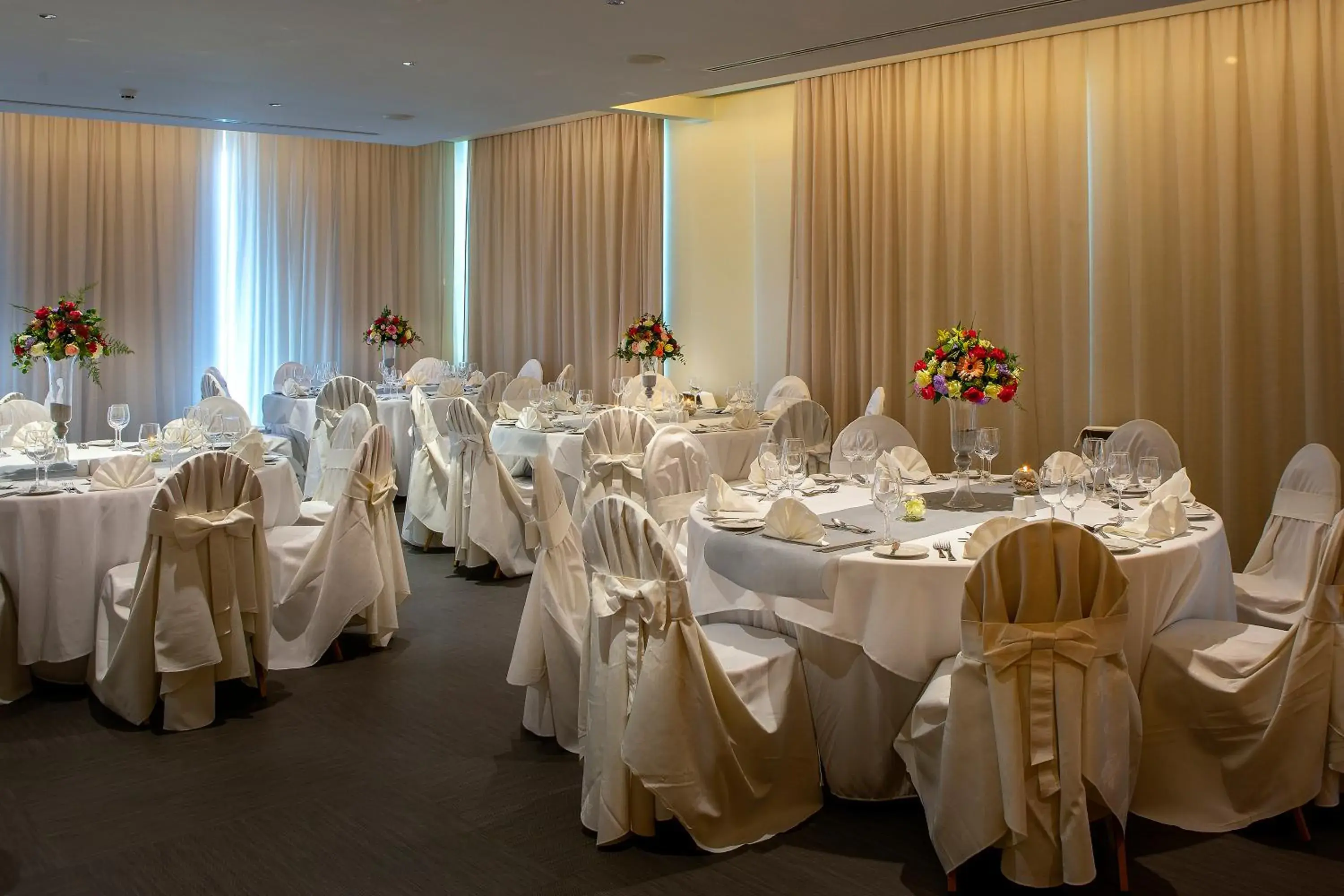 Banquet/Function facilities, Banquet Facilities in Faros Hotel