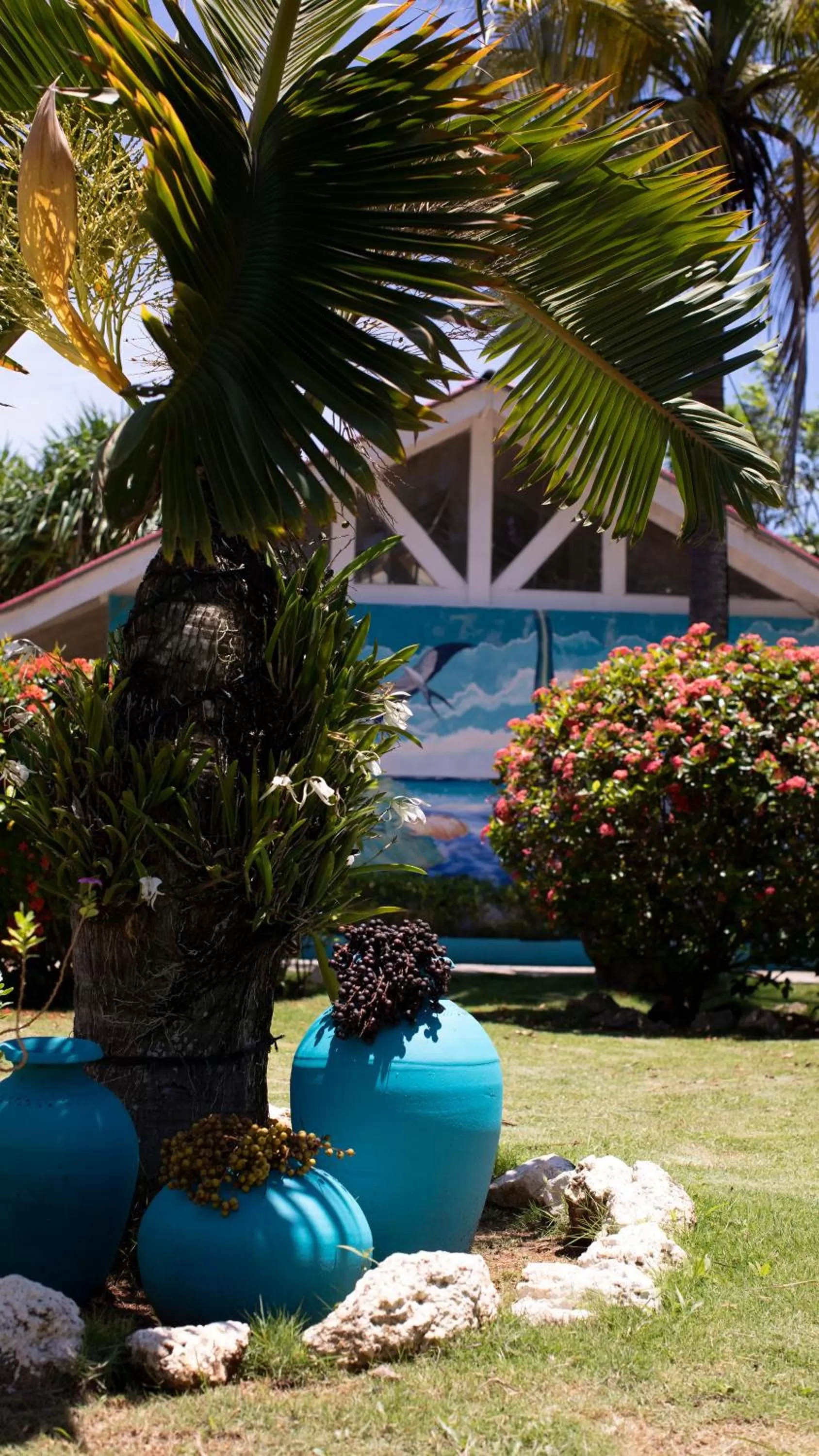 Garden in Hosteria Mar y Sol