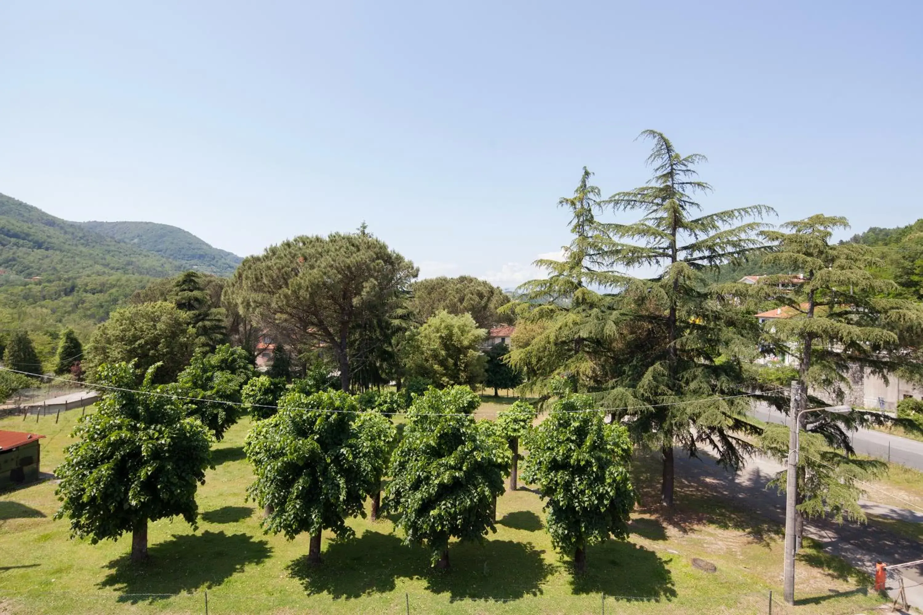 Natural landscape in Hotel Nella