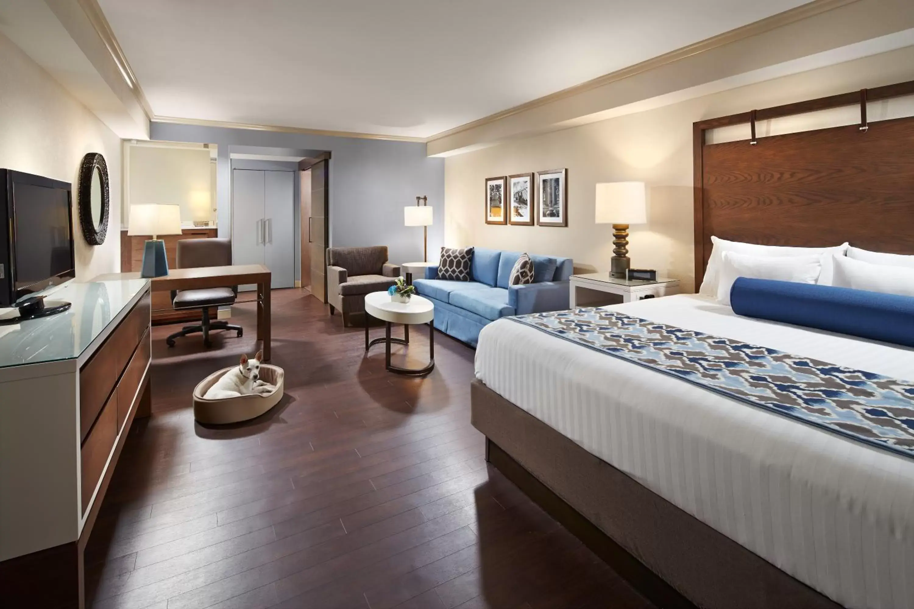 Bedroom, Bed in The Anza-a Calabasas Hotel Bedroom, Bed in The Anza-a Calabasas Hotel
