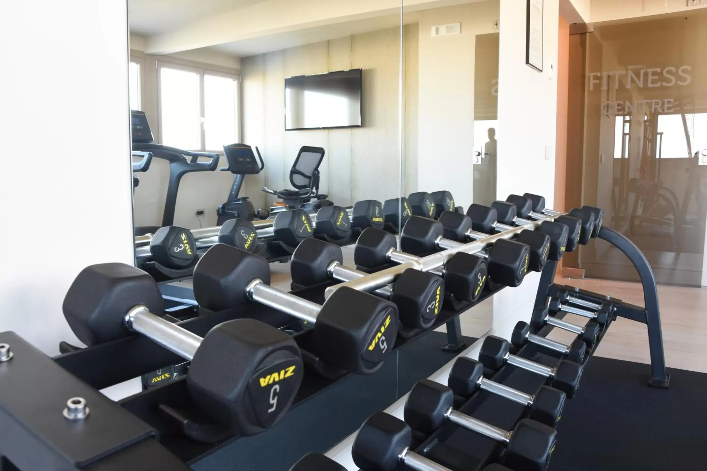 Fitness centre/facilities, Fitness Center/Facilities in Hotel Commercio
