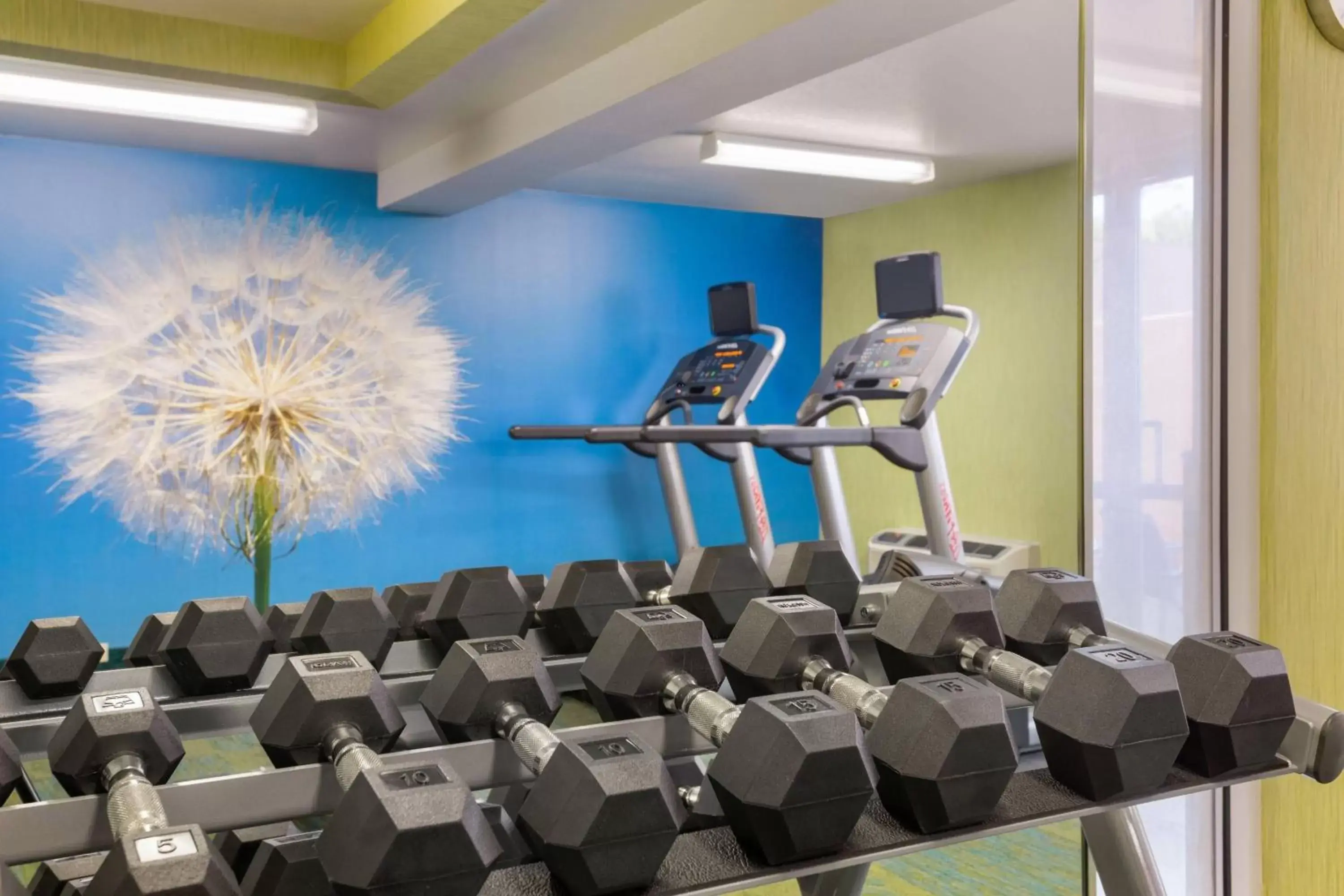 Fitness centre/facilities, Fitness Center/Facilities in SpringHill Suites by Marriott Little Rock