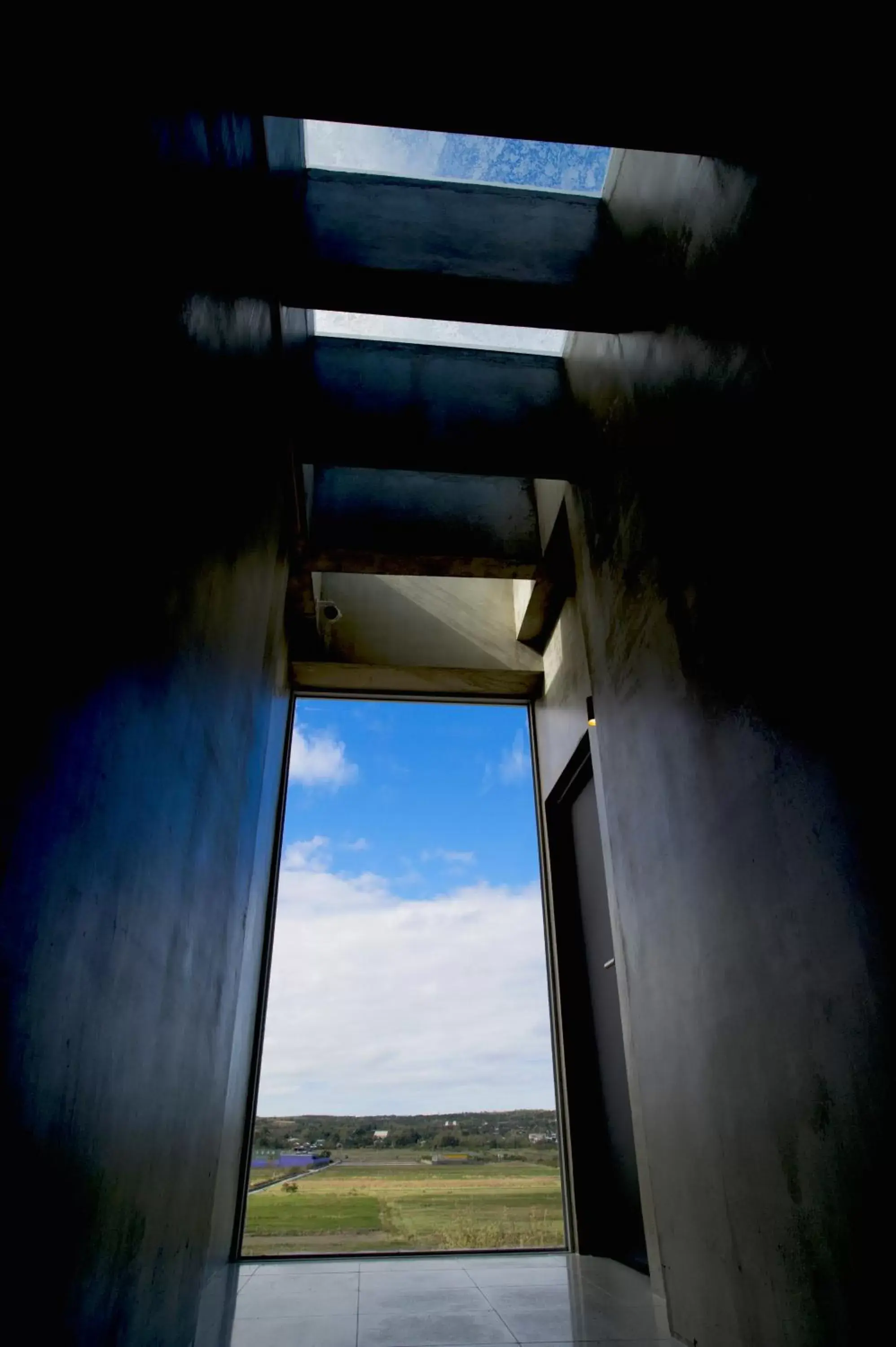 Garden view in FFF Hotel Garden view in FFF Hotel