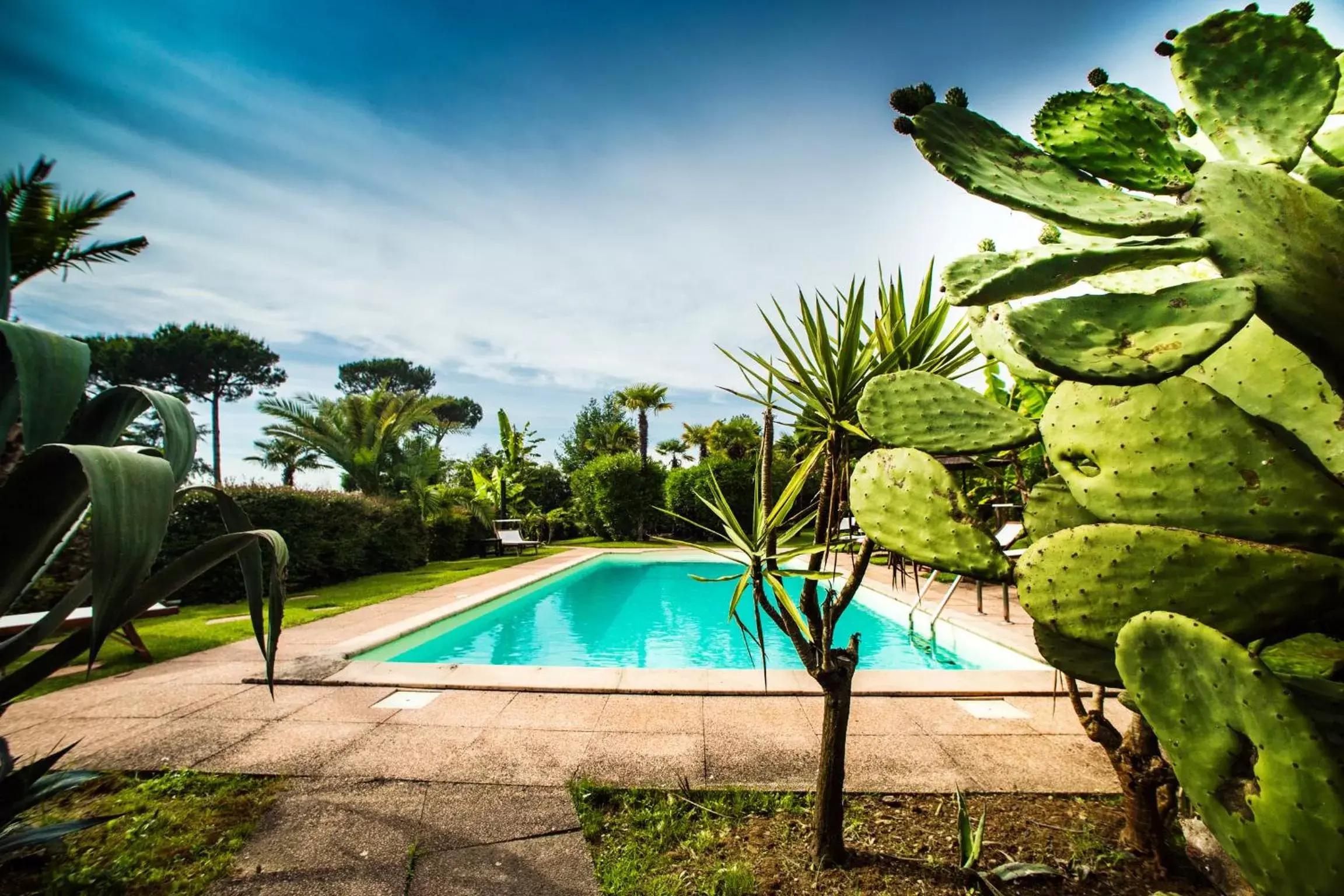 Swimming Pool in Casa Matilde